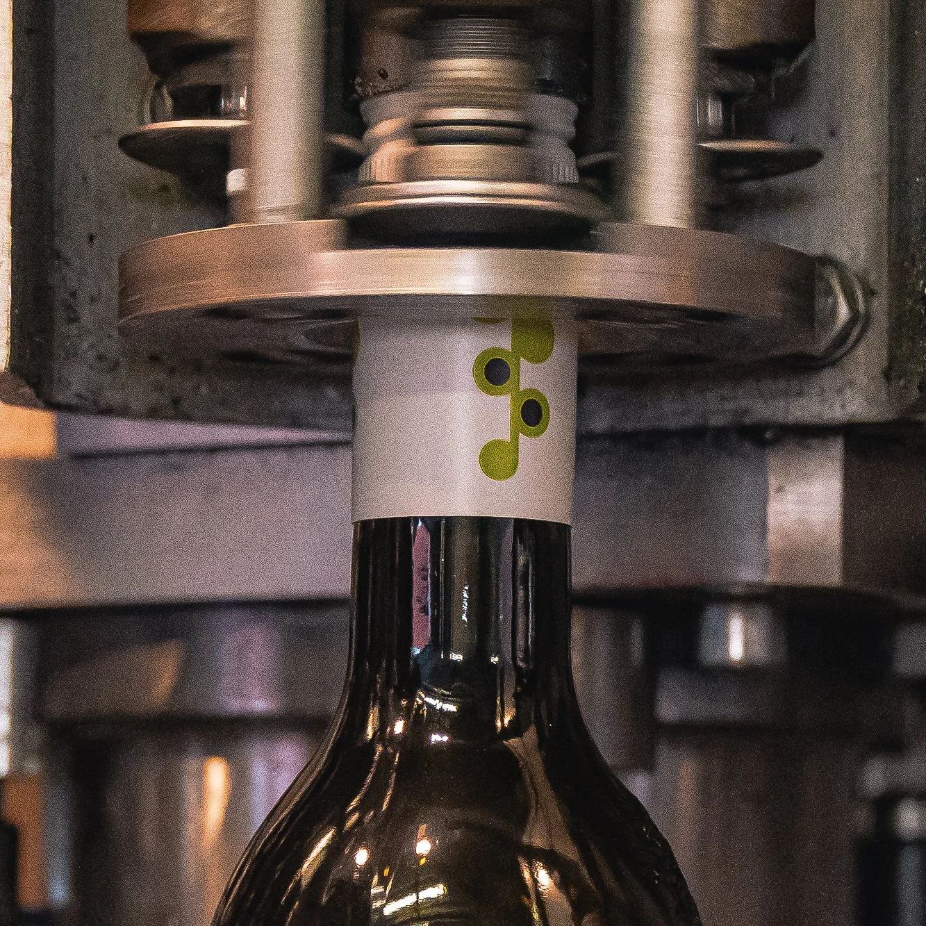 Weingut Leitgeb Abfüllung Jahrgang 2025 Fotos Sabine Hütter Online-1020 Kopie.jpg