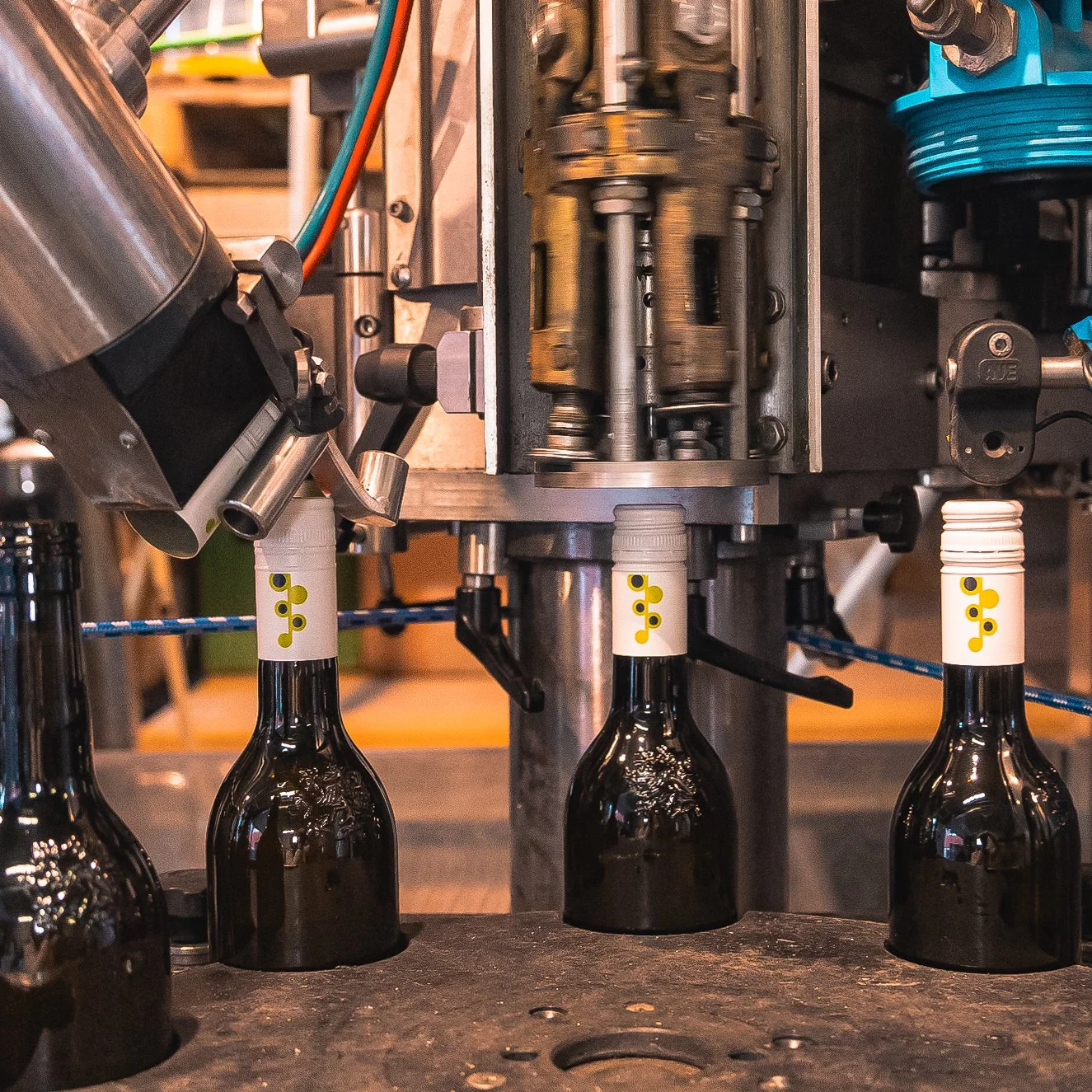 Weingut Leitgeb Abfüllung Jahrgang 2025 Fotos Sabine Hütter Online-1021 Kopie.jpg