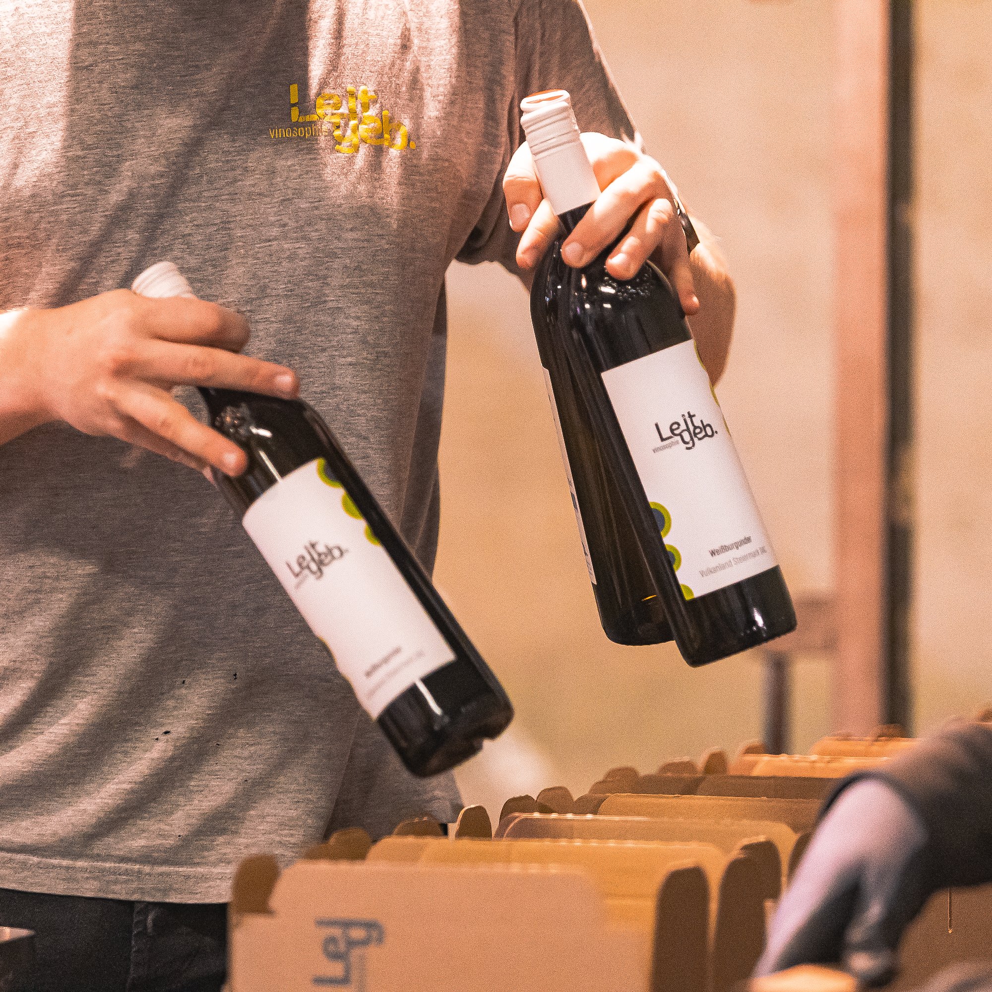 Weingut Leitgeb Abfüllung Jahrgang 2025 Fotos Sabine Hütter Online-1124 Kopie.jpg