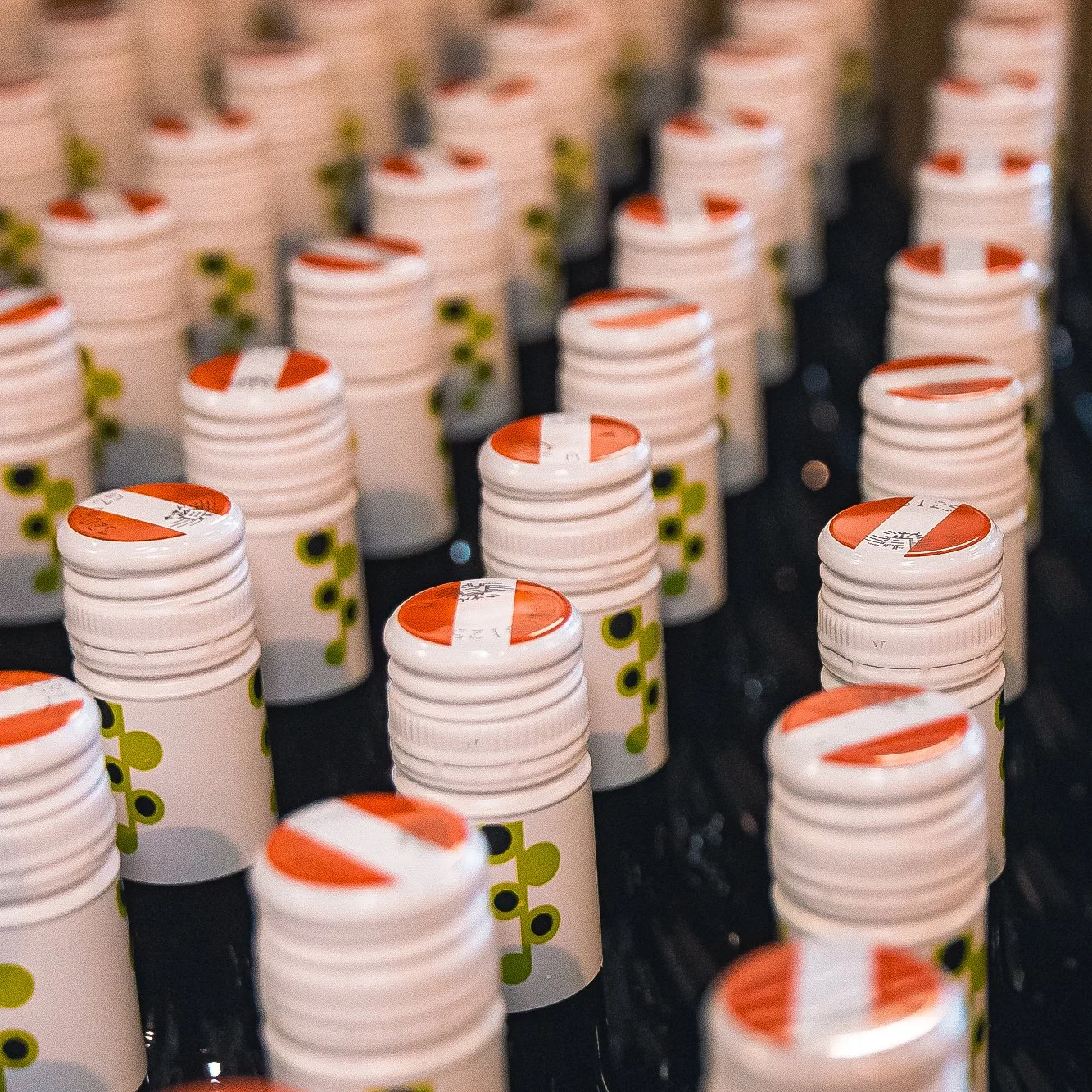 Weingut Leitgeb Abfüllung Jahrgang 2025 Fotos Sabine Hütter Online-1040 Kopie.jpg