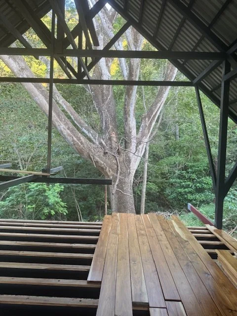 View from an unfinished wooden deck or loft with a slanted roof, overlooking a large tree with a thick trunk and green foliage.