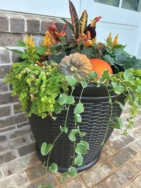 Large Custom planter