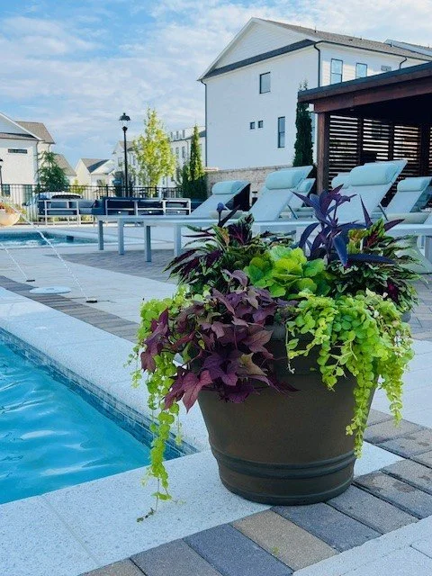 Medium Custom Planter