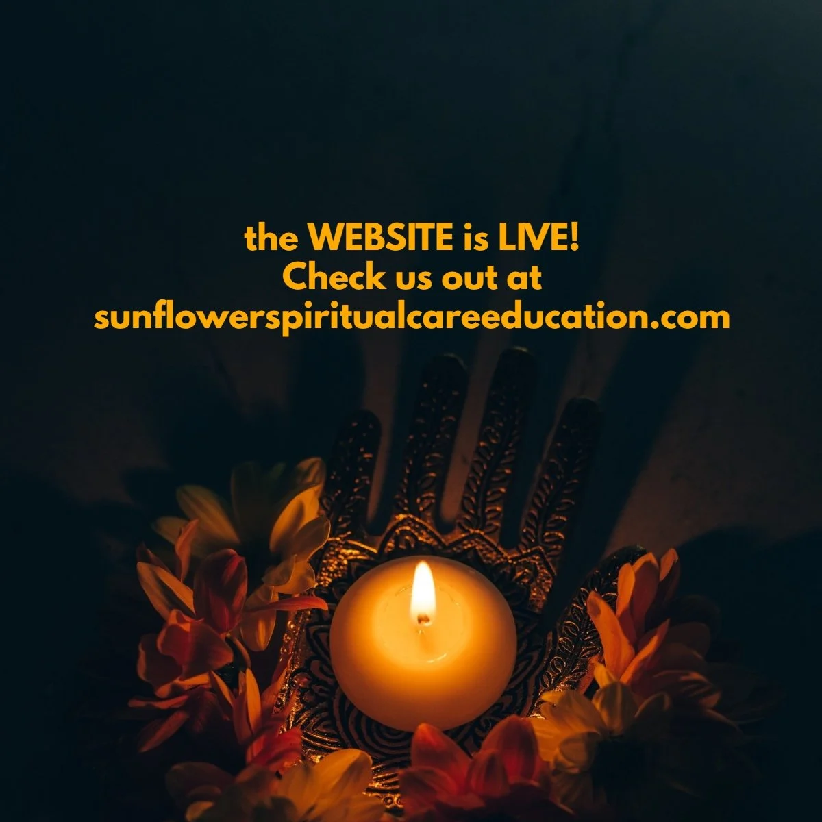 Check us out at sunflowerspiritualcareeducation.com to learn more about the team that is bringing this dream alive 🌻