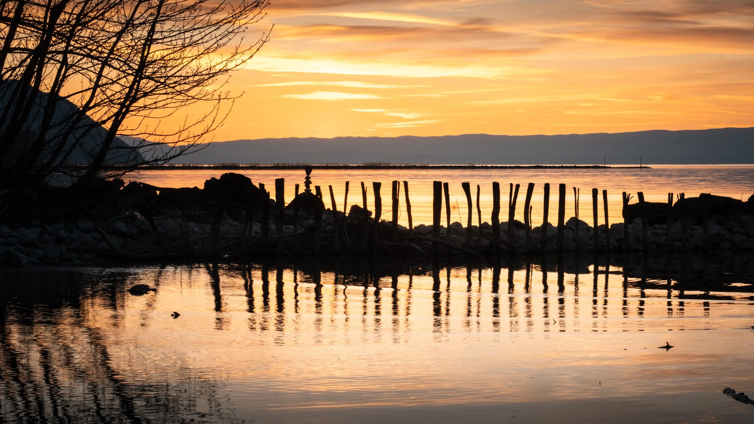 2026sunset jardin instinctif-6.jpg