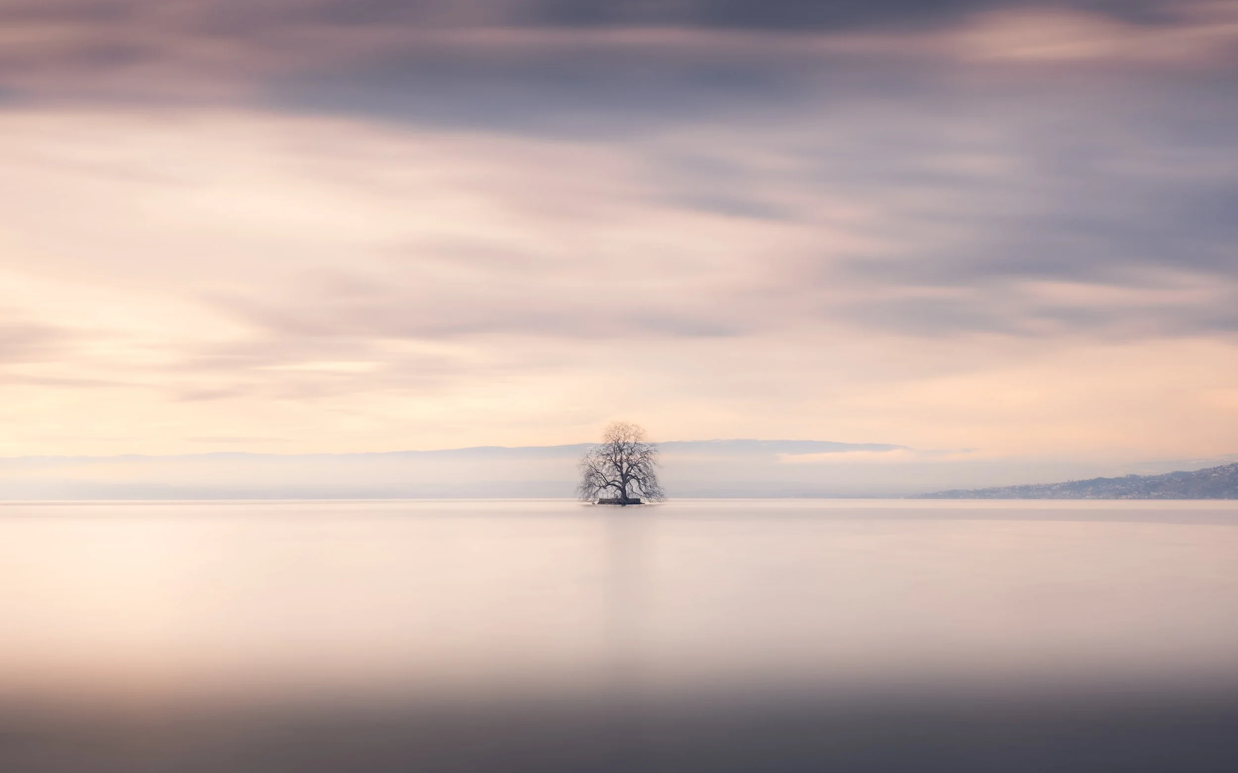 02022026-arbre lac léman-9.jpg