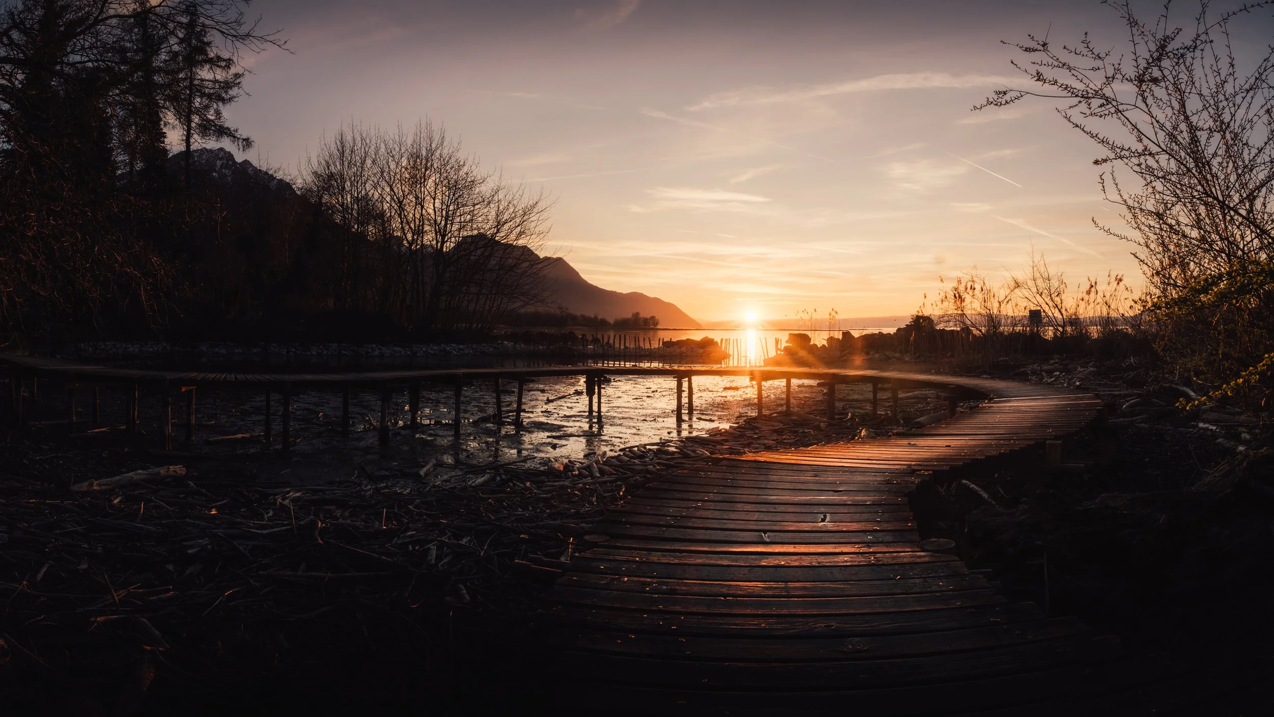 2026sunset jardin instinctif-4.jpg