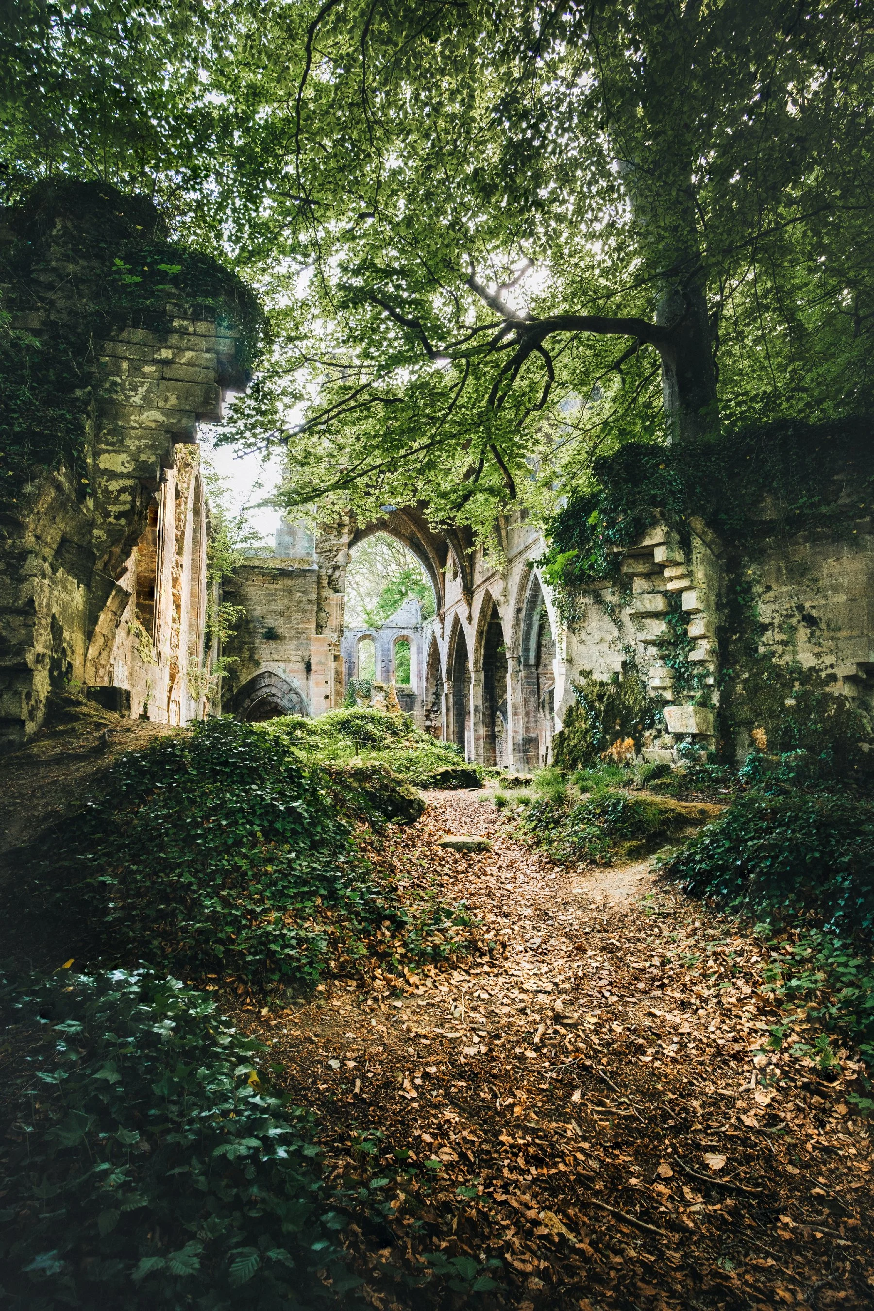 abbaye-trois-fontaine.jpg