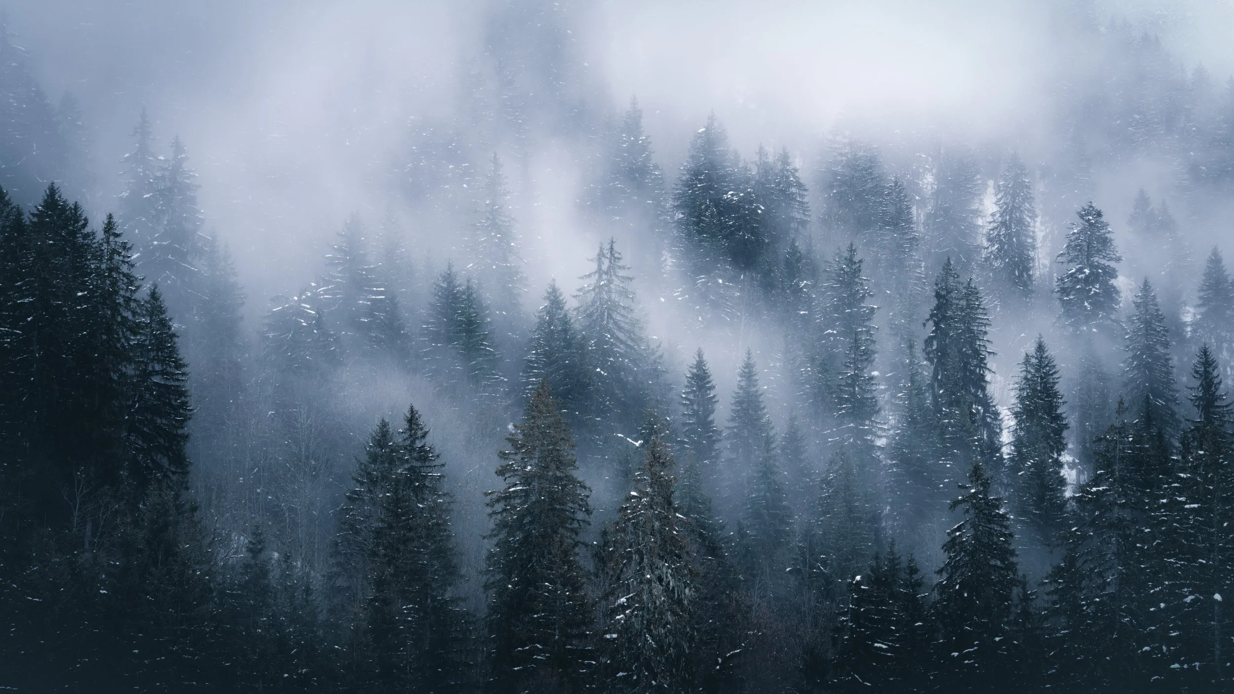 2026suisse ambiance nuages-4.jpg