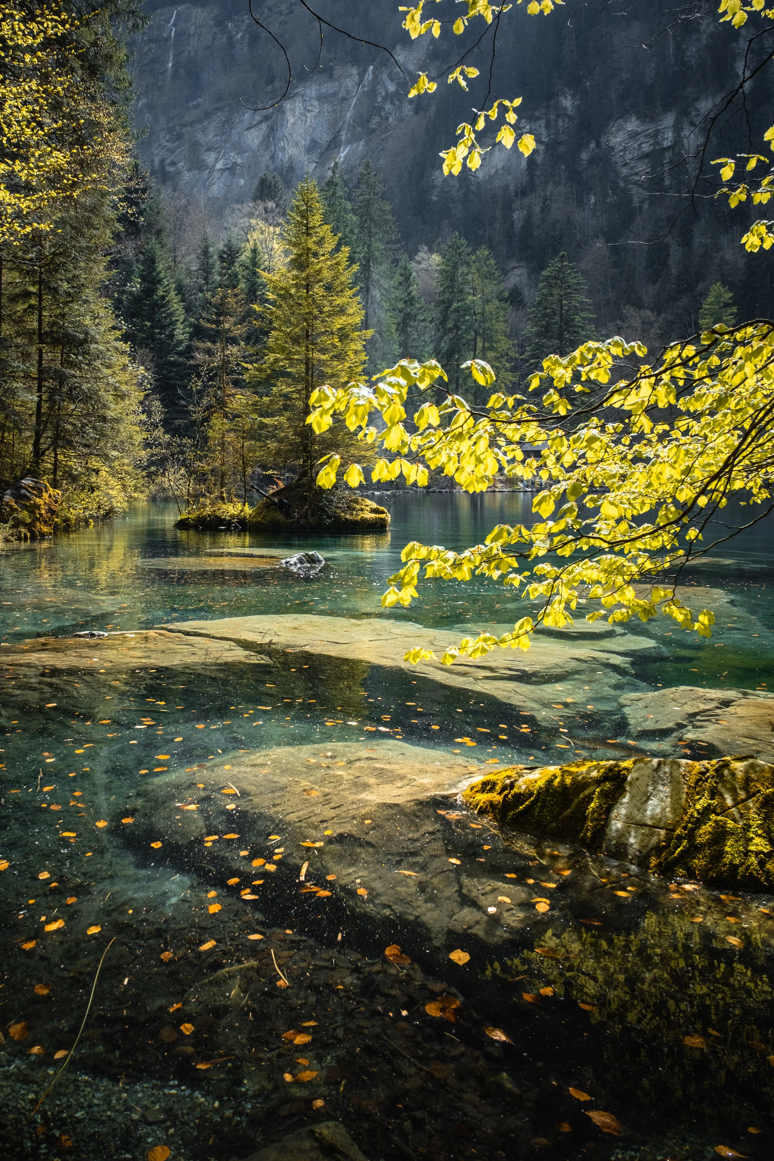 2026blausée lac.jpg