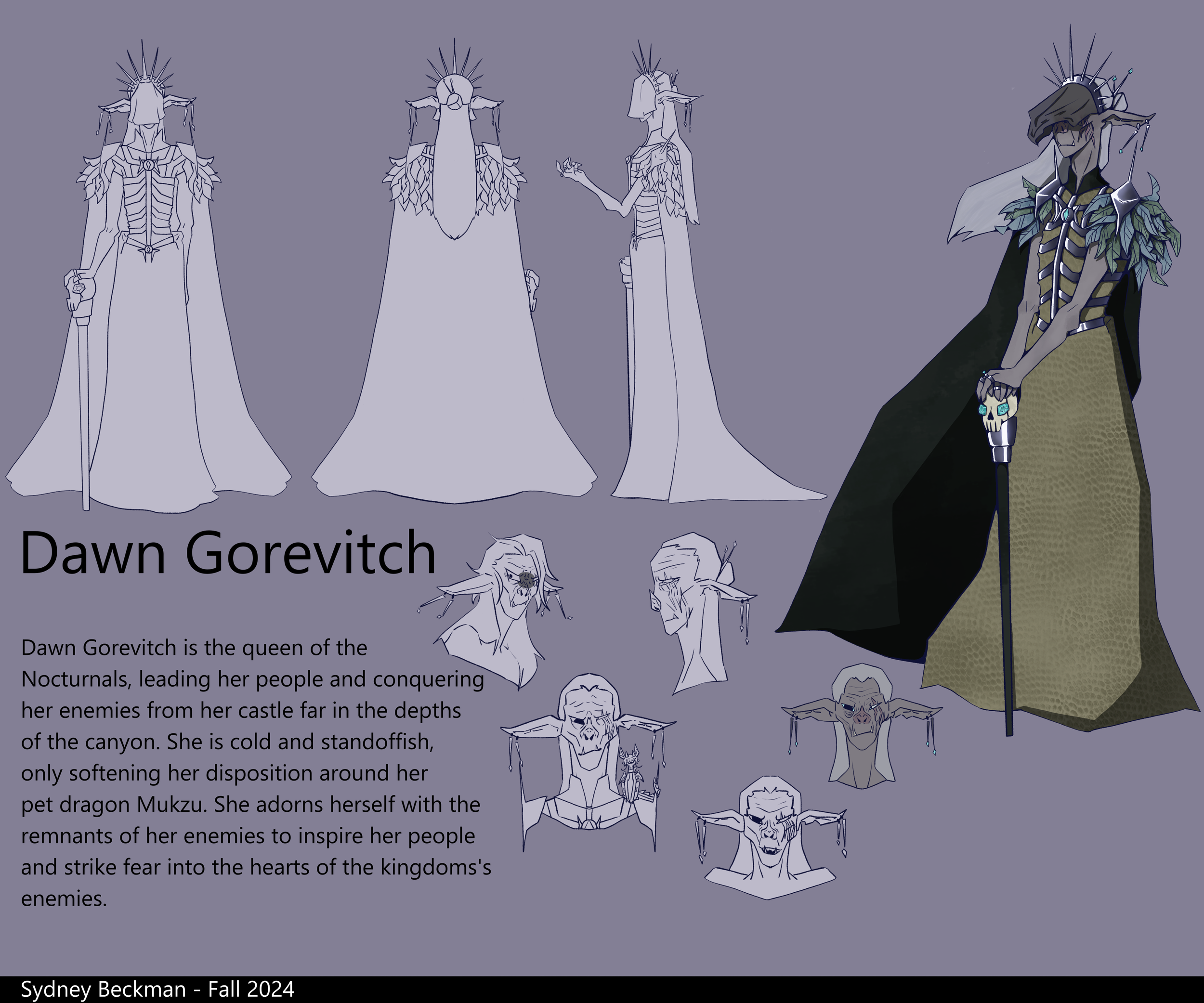 Dawn Gorevitch Concept Sheet