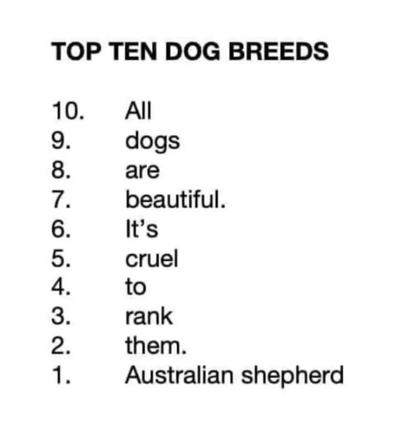It&rsquo;s not a competition 😂 🐾
