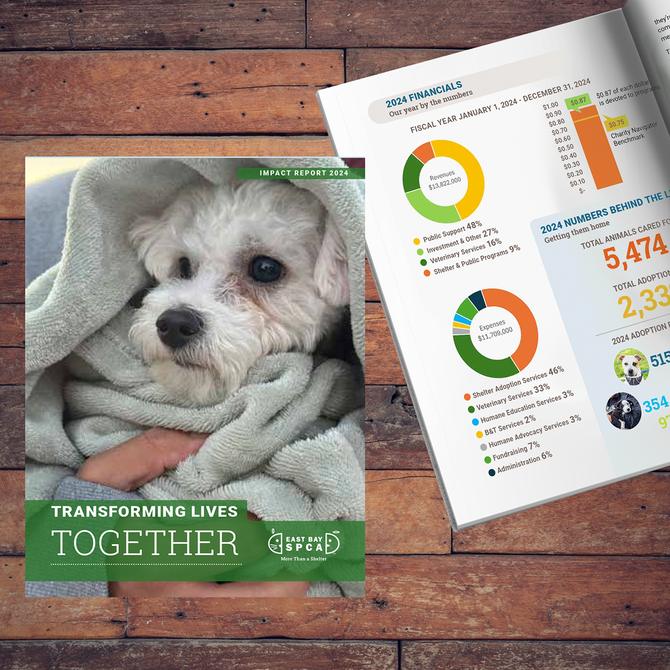 AnnualReportEBSPCA.png