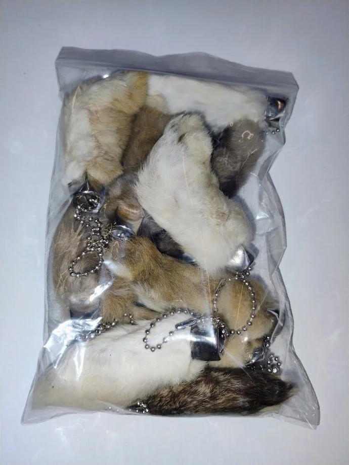 Lucky Rabbit's Feet
