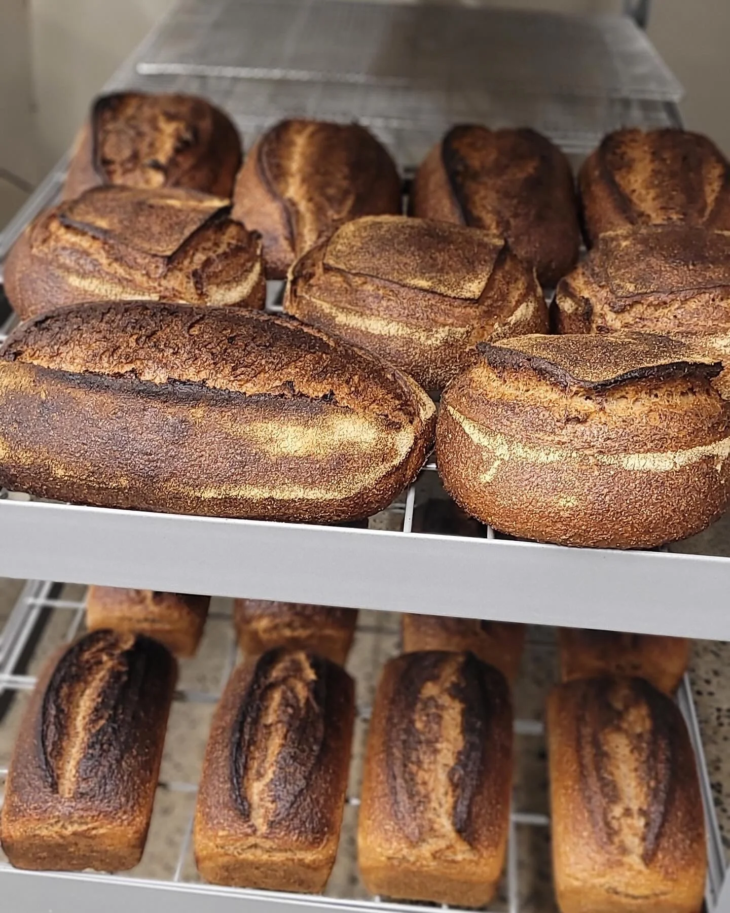 Assorted freshly baked bread loaves on a cooling rack, including baguettes and other bread types with a golden-brown crust.