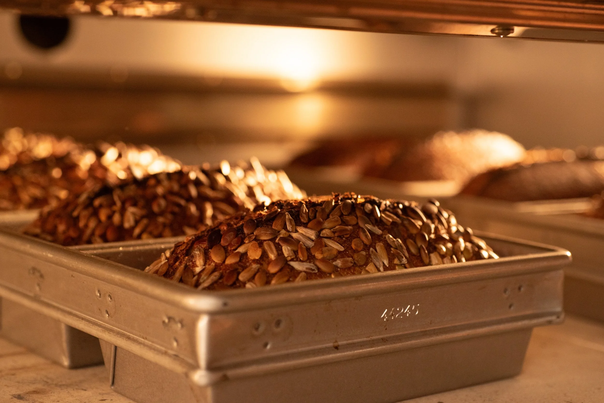 Bakery tray with chocolate bread topped with sunflower seeds, inside an oven.