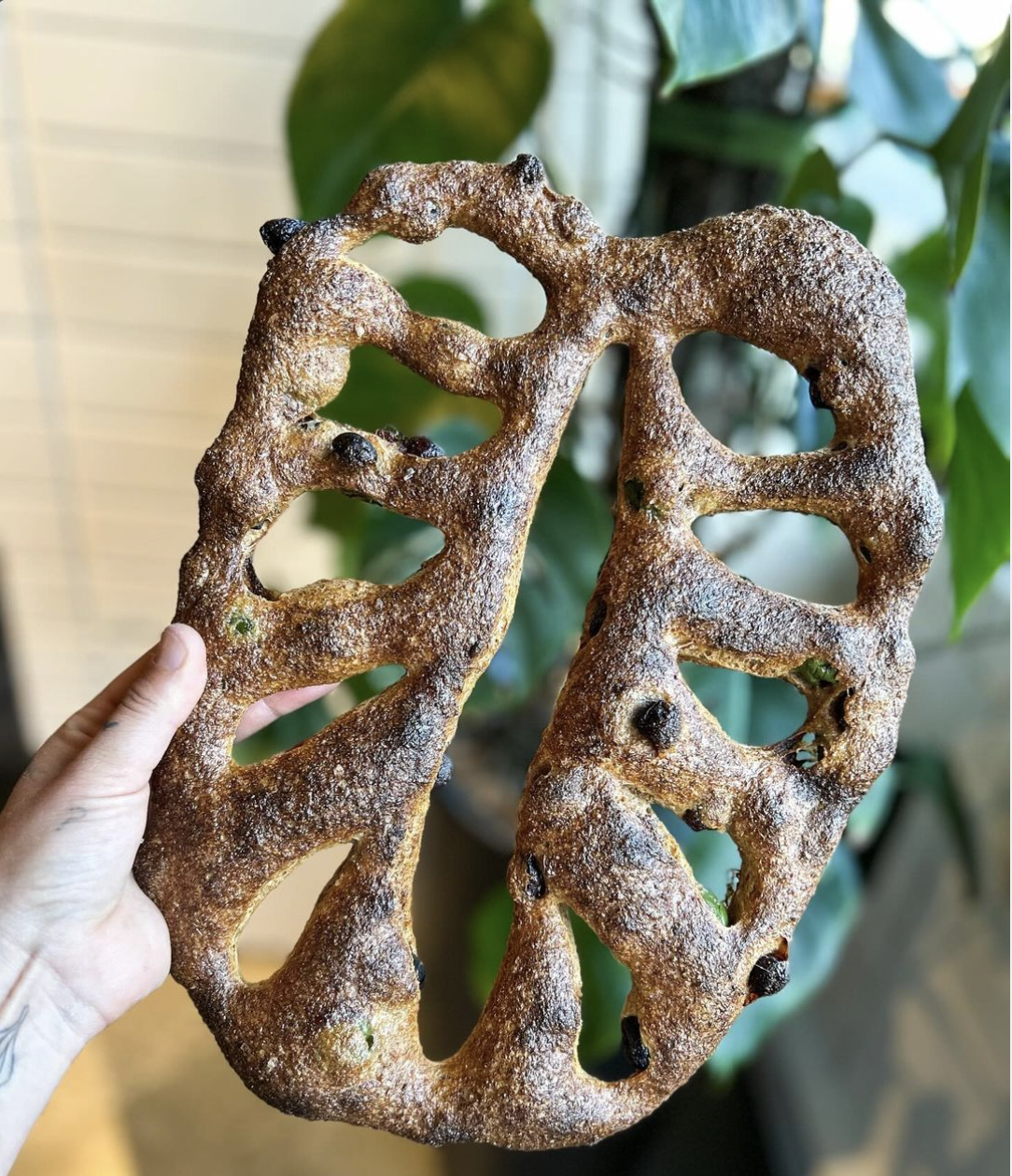 Hand holding a large, rustic-looking piece of bread with an open, web-like structure. In the background, there are green leaves and a blurred indoor setting.