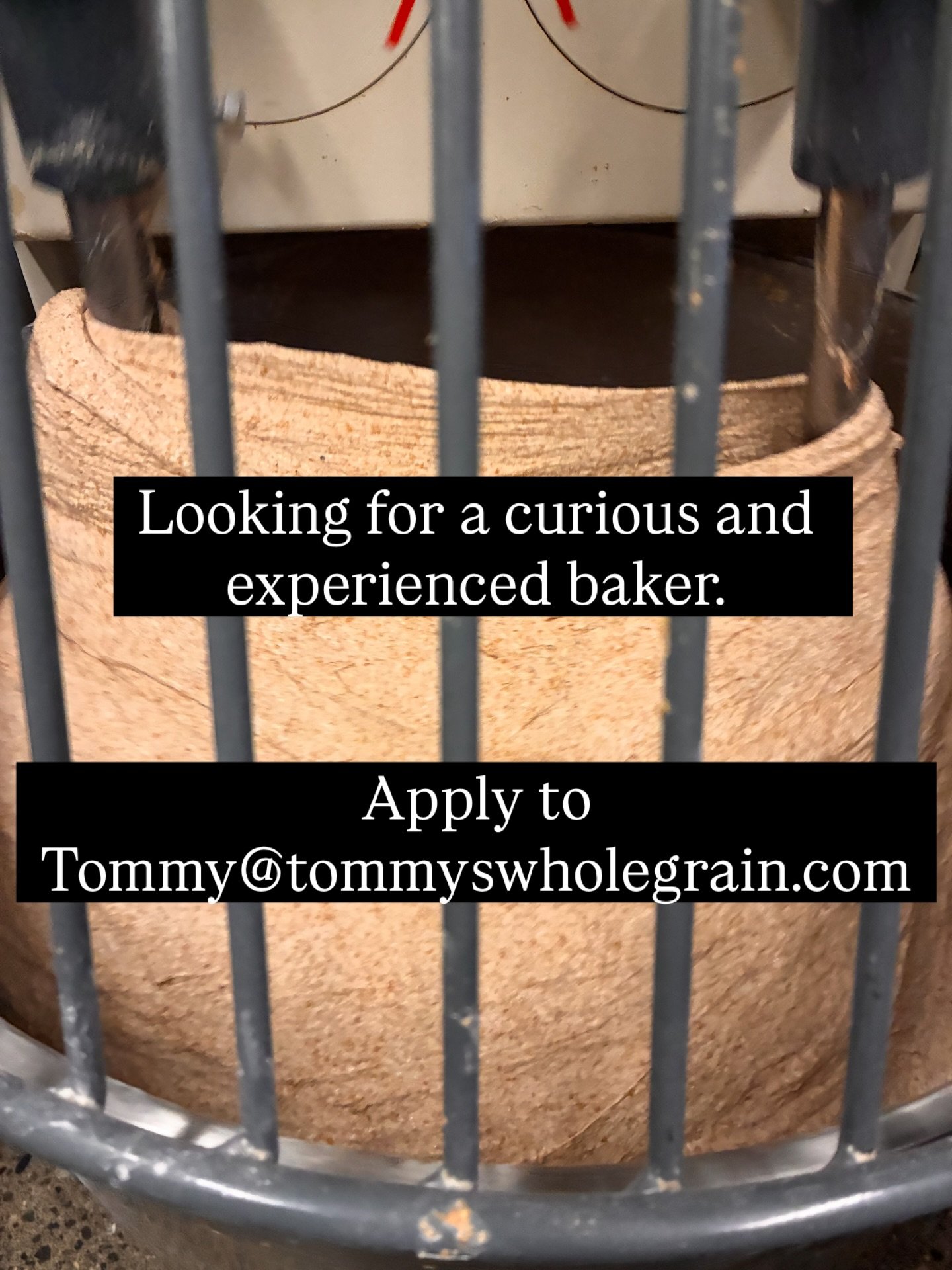 Is this you? 🤓

We are accepting applications for a full-time position.