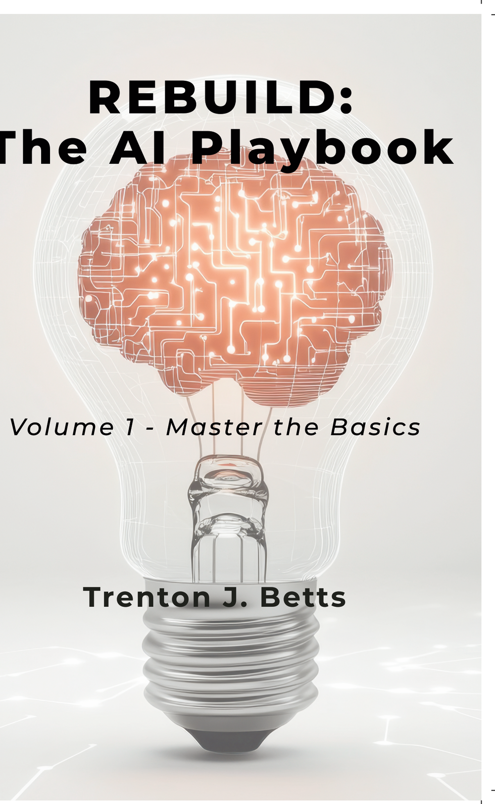 REBUILD AI Playbook Volume 1