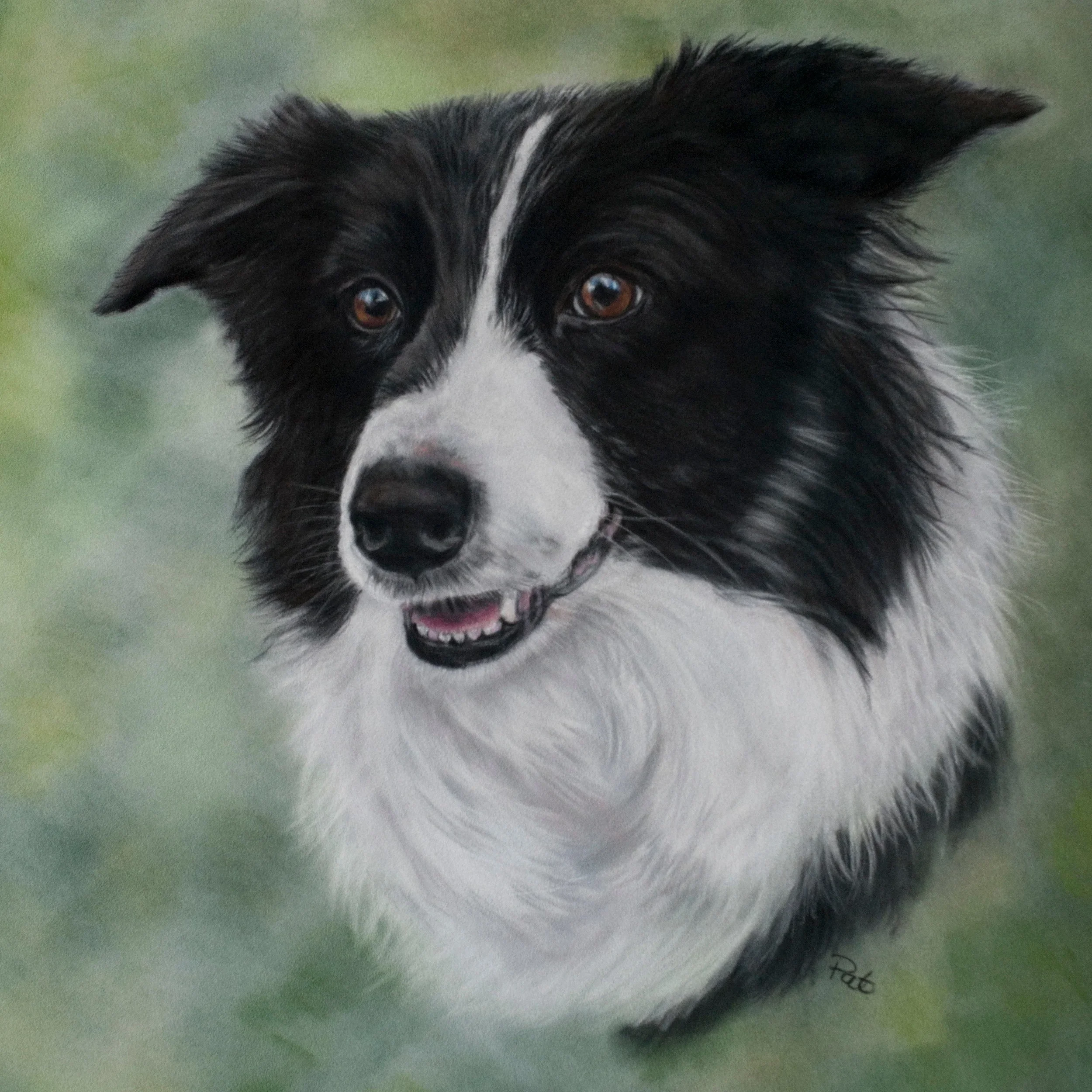 A painting of a black and white Border Collie dog with amber eyes, a happy expression, and a blurred green background.