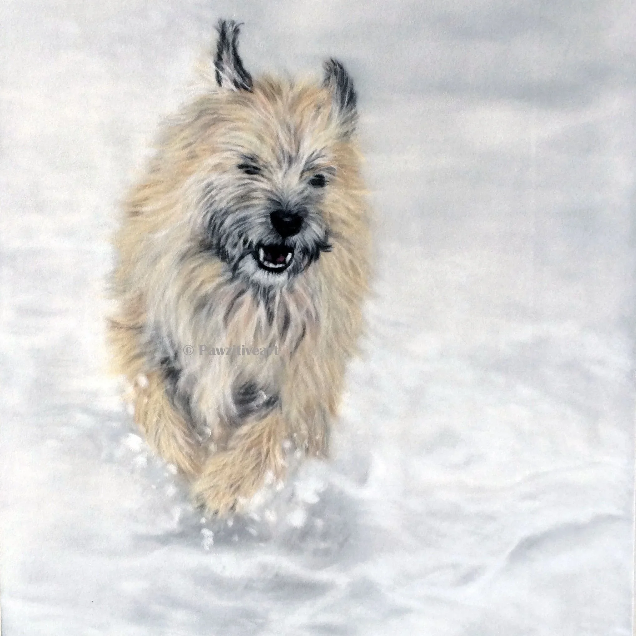 A fluffy tan and gray dog running through snow with a joyful expression.