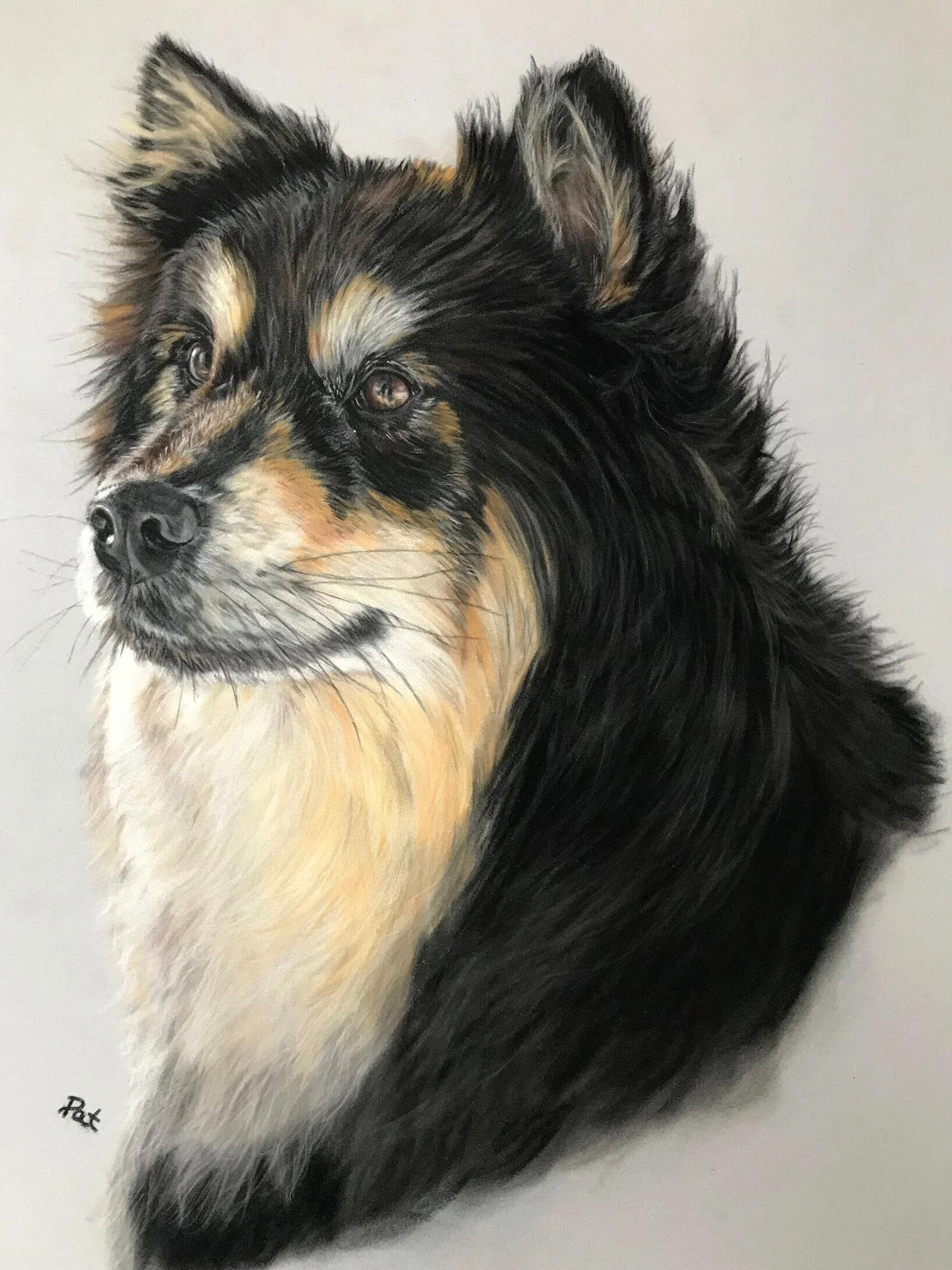 Photorealistic detailed painting of a black, tan, and white dog, possibly a herding breed, with expressive eyes and fluffy fur.