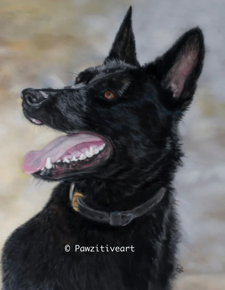 Profile of a black German Shepherd dog with pointy ears, looking to the side with mouth open, tongue out, and collar visible