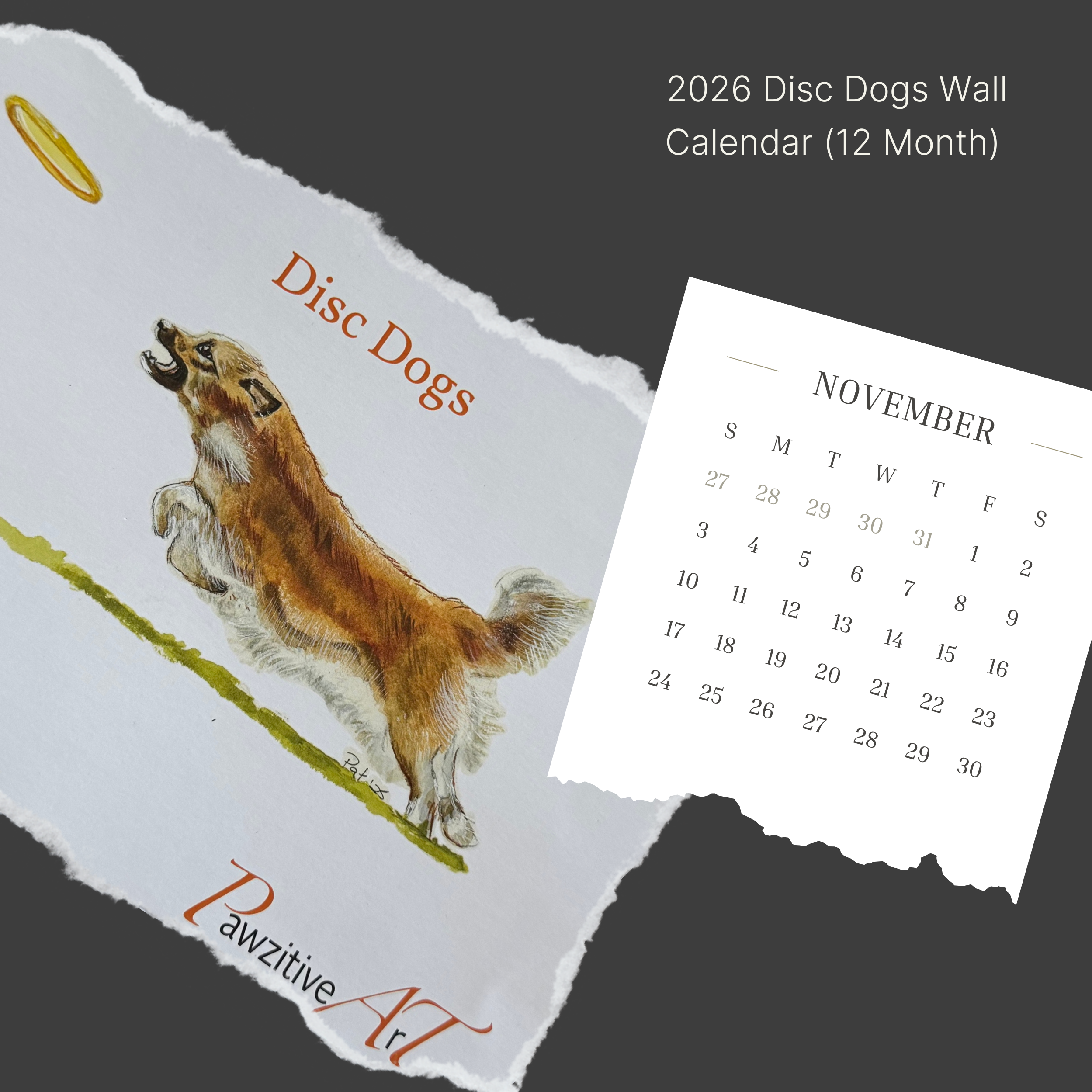 2026+Disc+Dogs+Wall+Calendar+%2812+Month%29.png