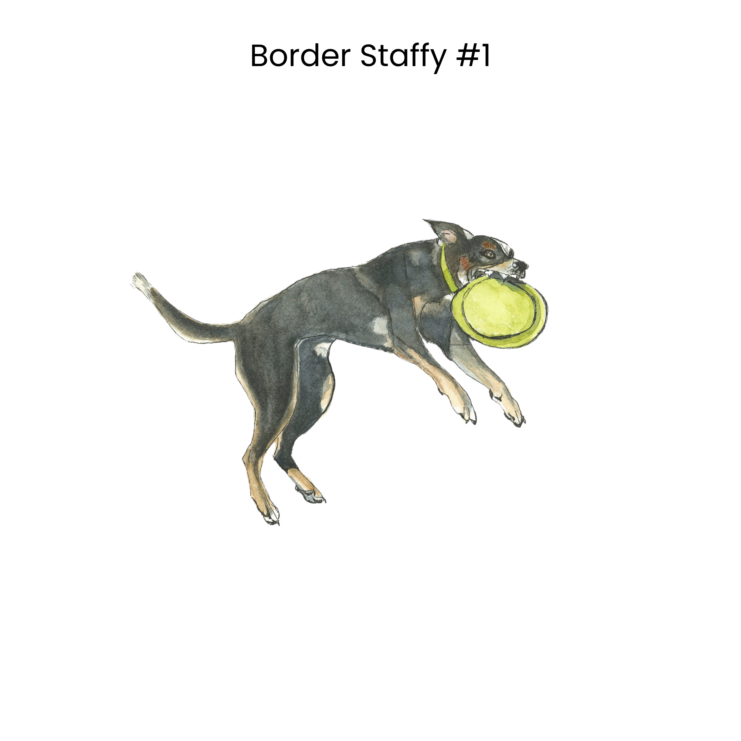 2 Border Staffy No. 1 Card.png