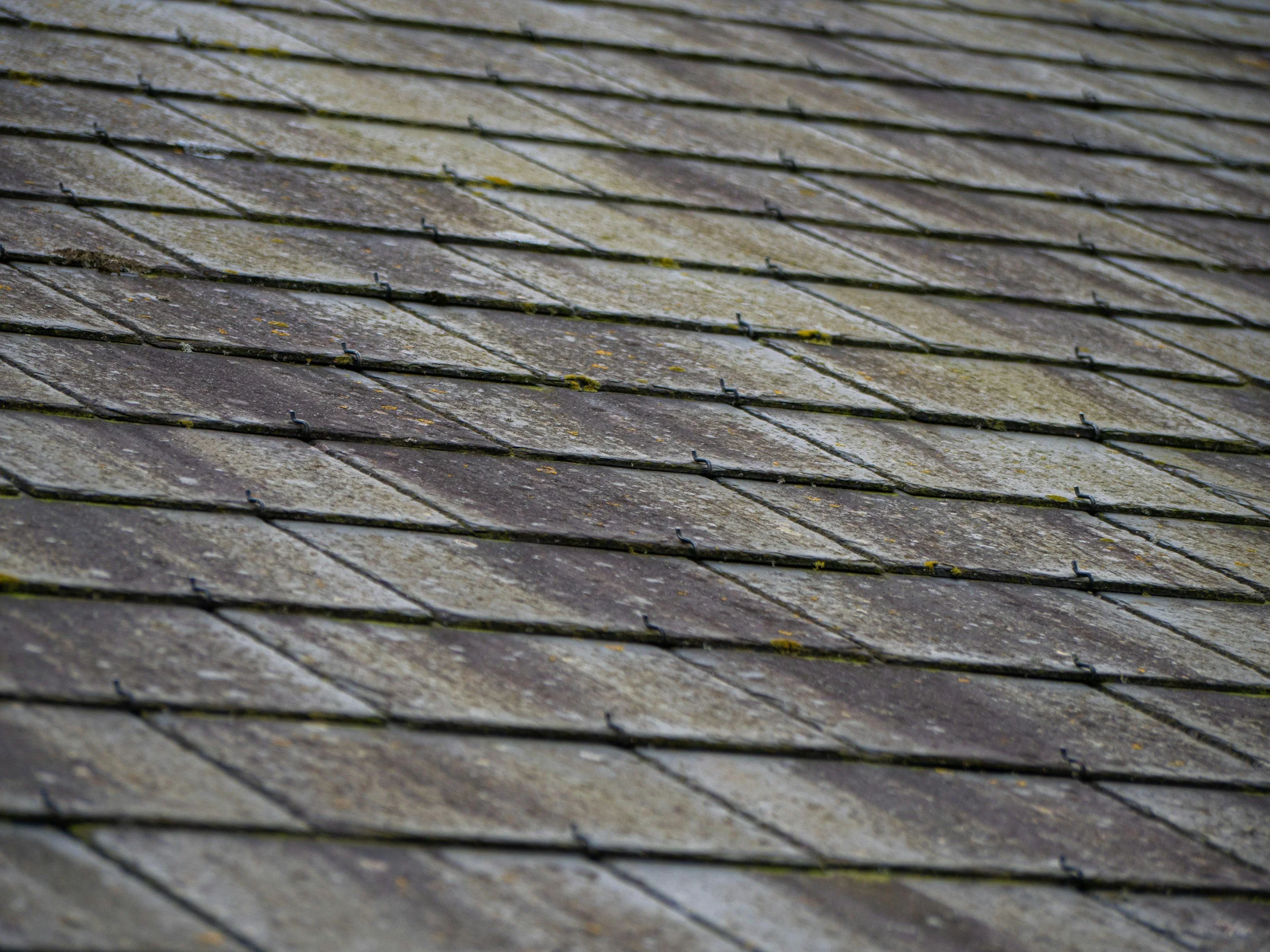 Close-up of weathered roof shingles with moss and dirt.