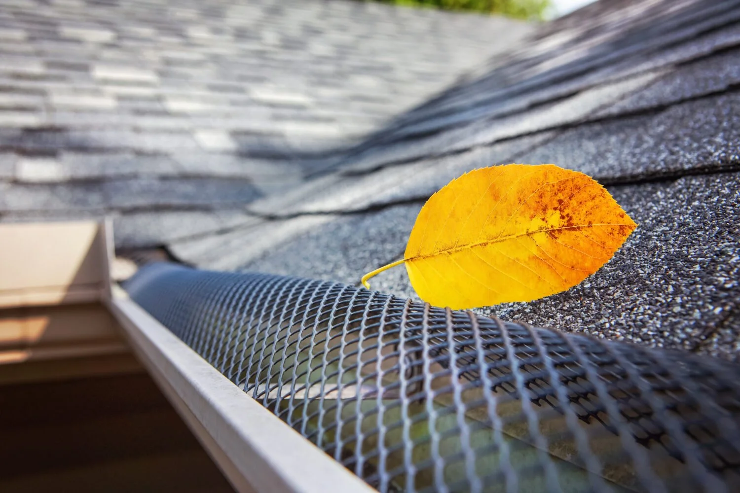 A yellow autumn leaf resting on a roof's metal surface, with a gutter and shingles visible in the background.