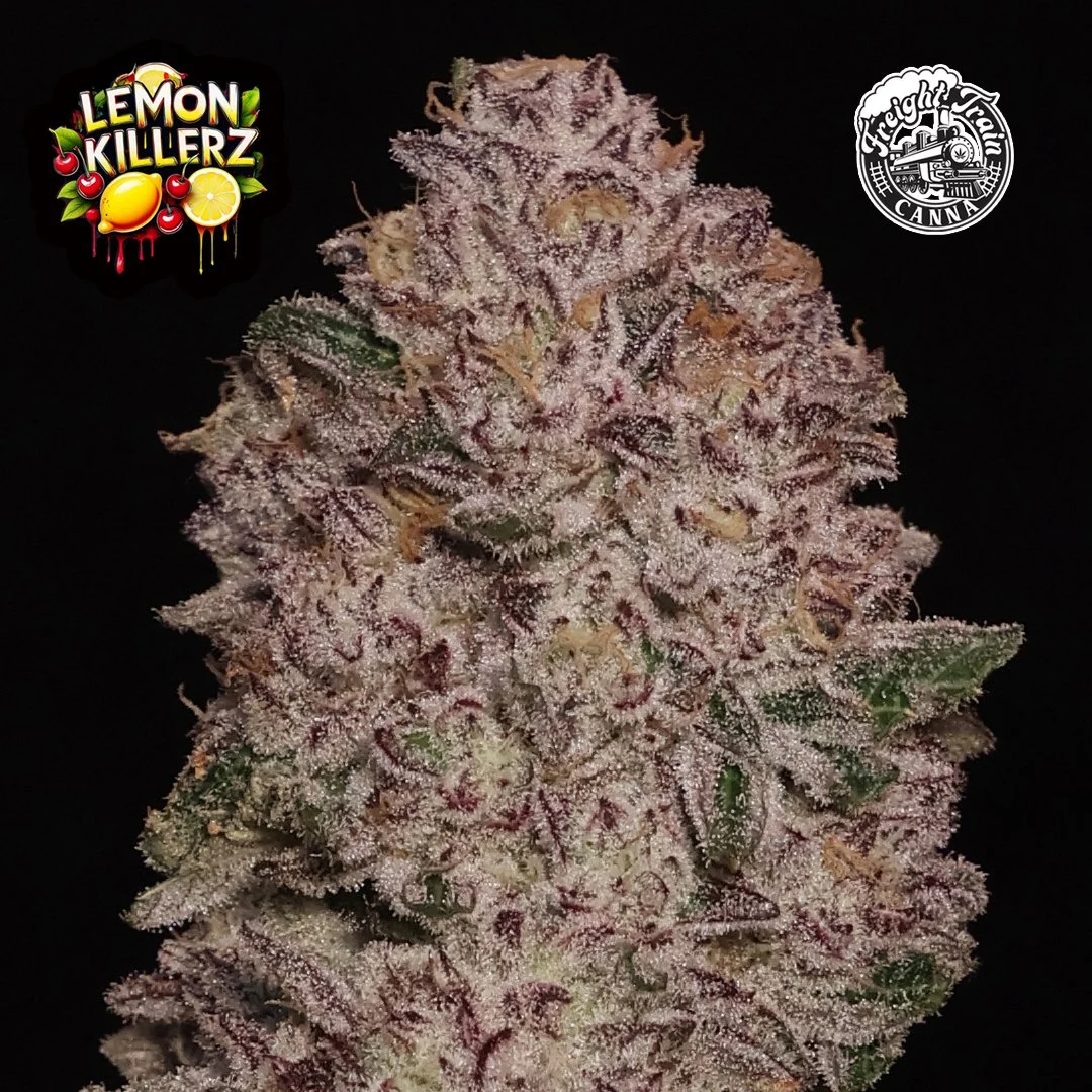 lemon killerz ig post 3 .jpg