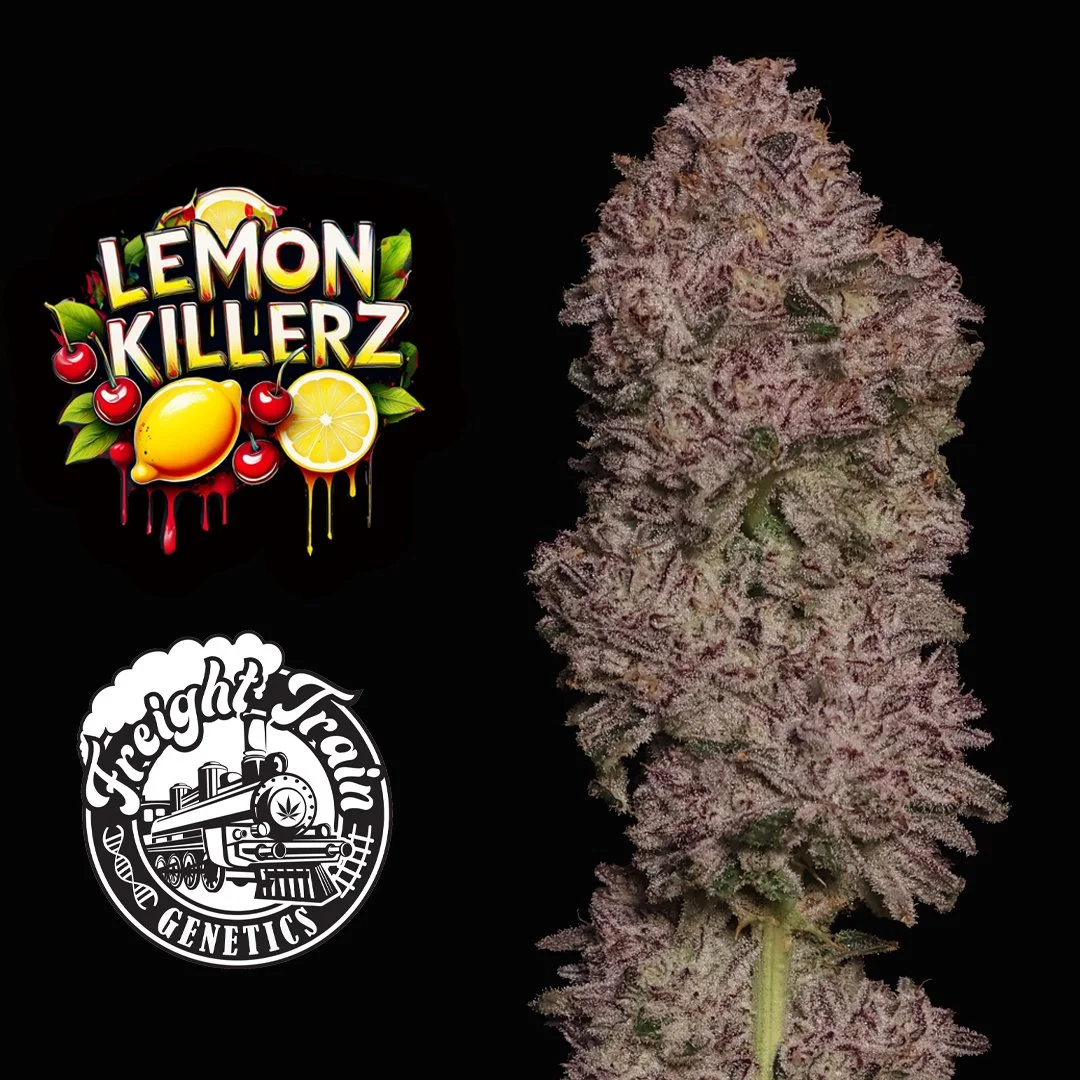 lemon killerz ig post ftg.jpg