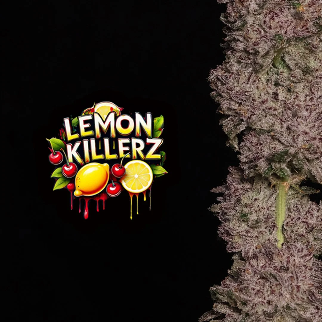 lemon killerz ig post 4.jpg