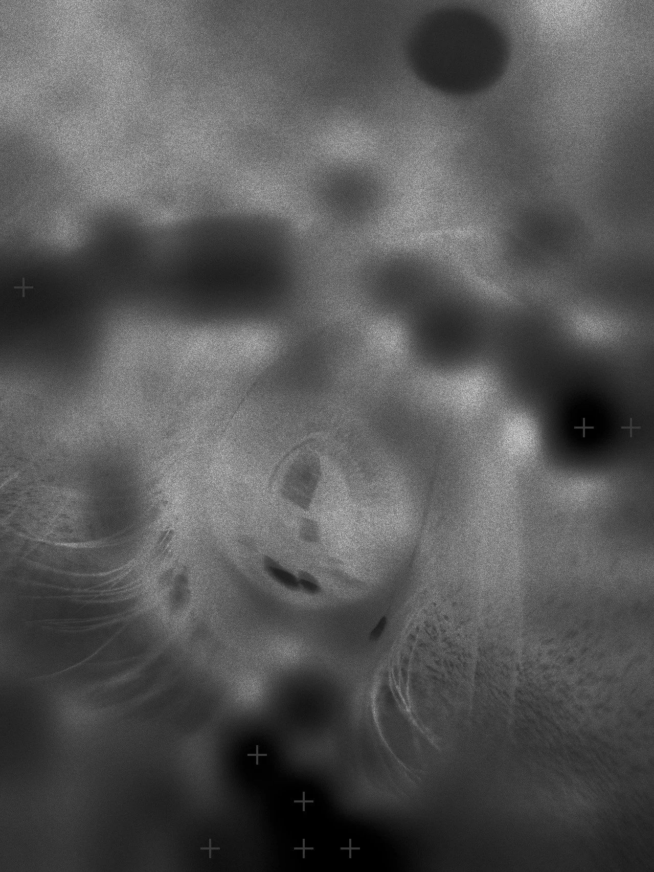 viewsfromthemachinesocialpromo crop.jpg