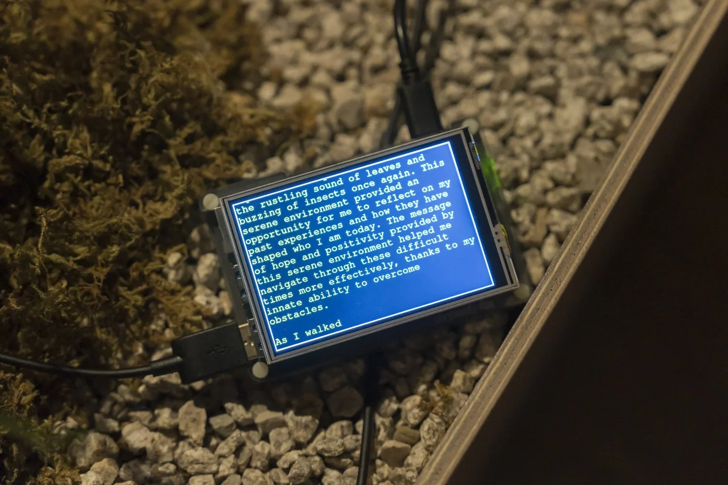 When Spiders Spin Dusk