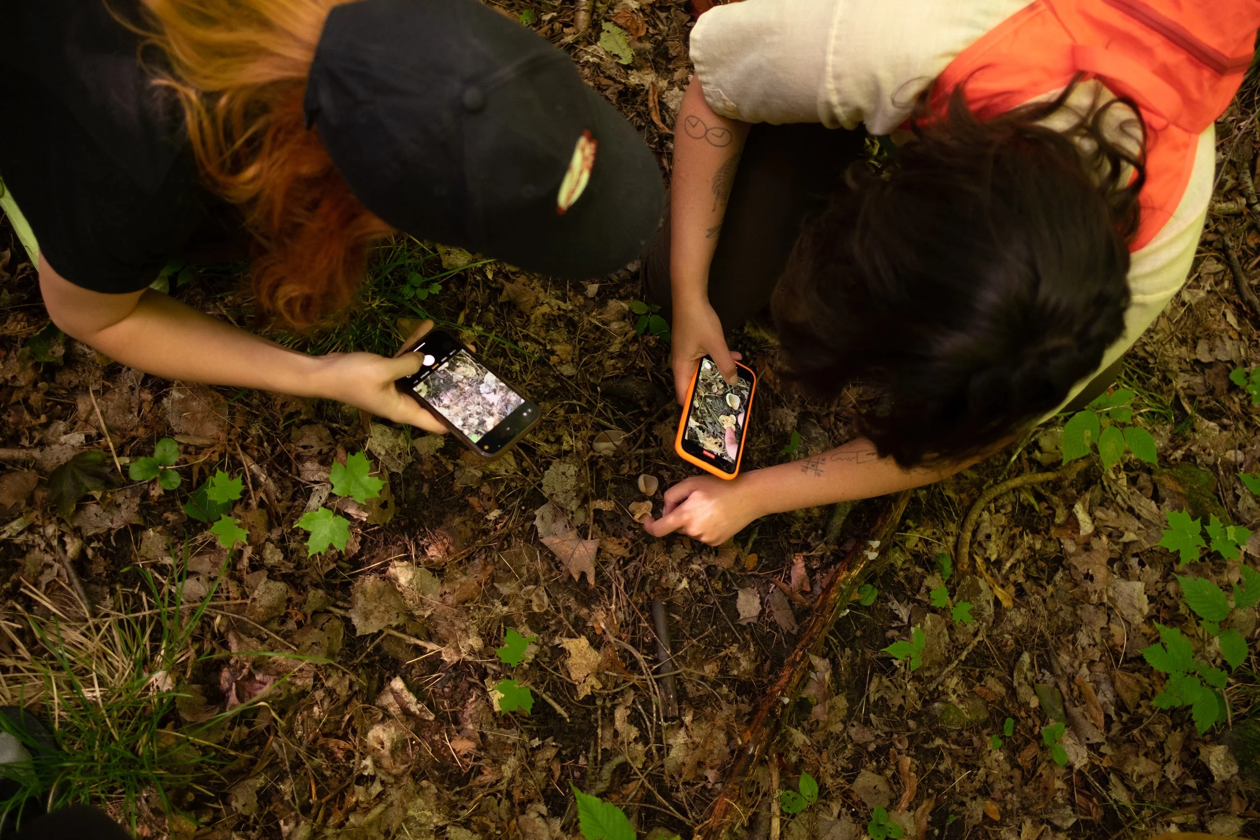 Two people crouching on the forest floor taking photographs with smartphones.