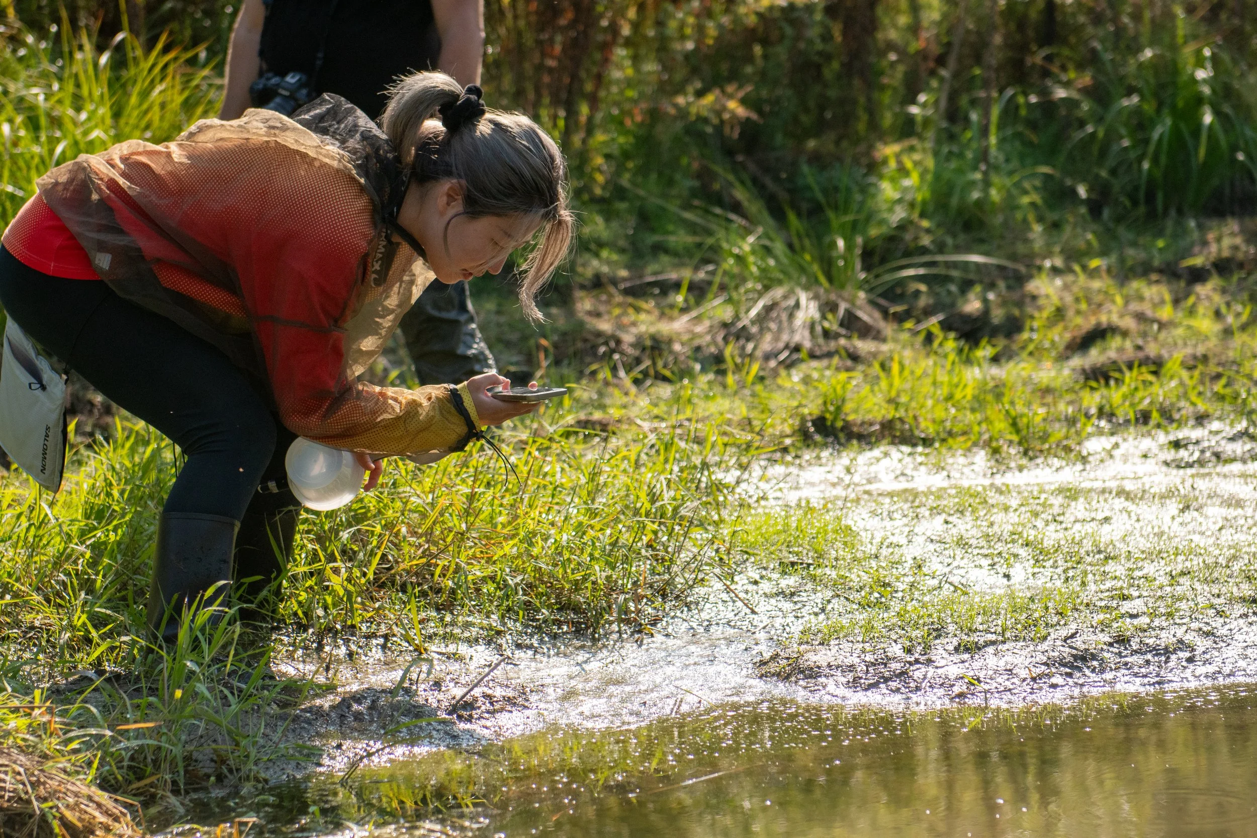 A woman in outdoor gear crouches by a pond, examining the water with a smartphone in her hand.