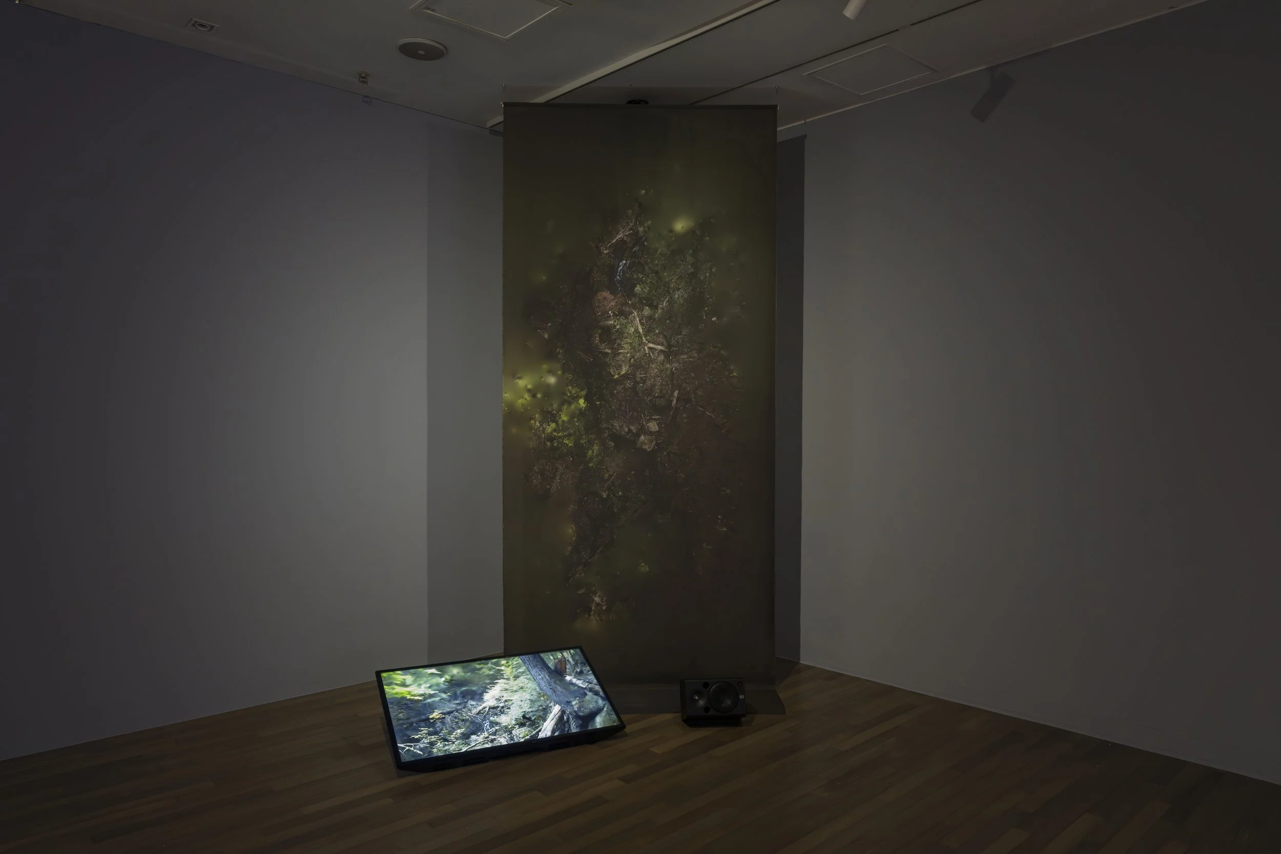 An art installation in a gallery with a large vertical screen displaying a dark, forest-like image. A smaller screen on the floor shows a nature scene, and a speaker is placed nearby.