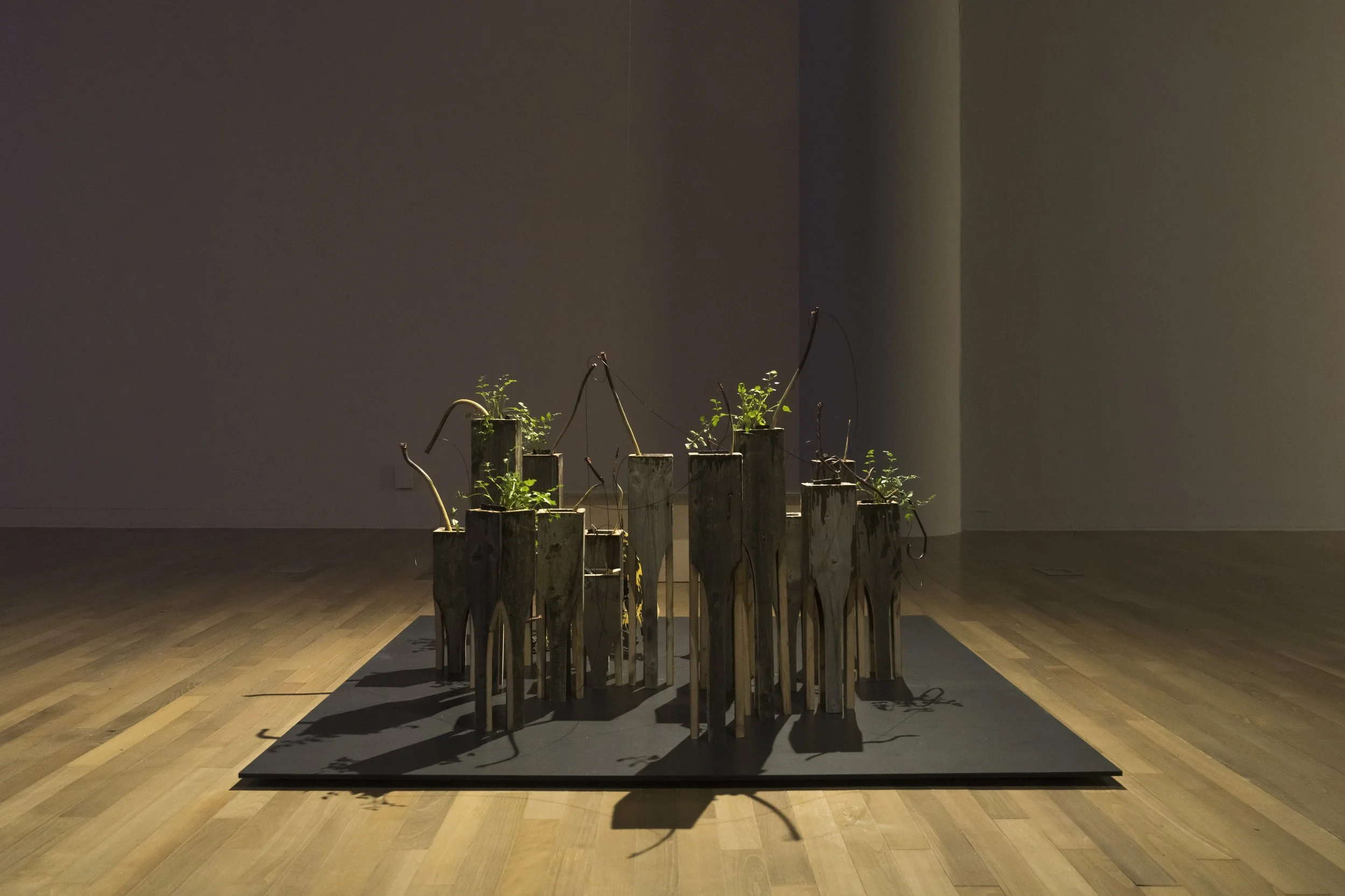 An art installation featuring tall, vertical wooden structures with plants growing out of them, arranged on a black platform in a gallery space.