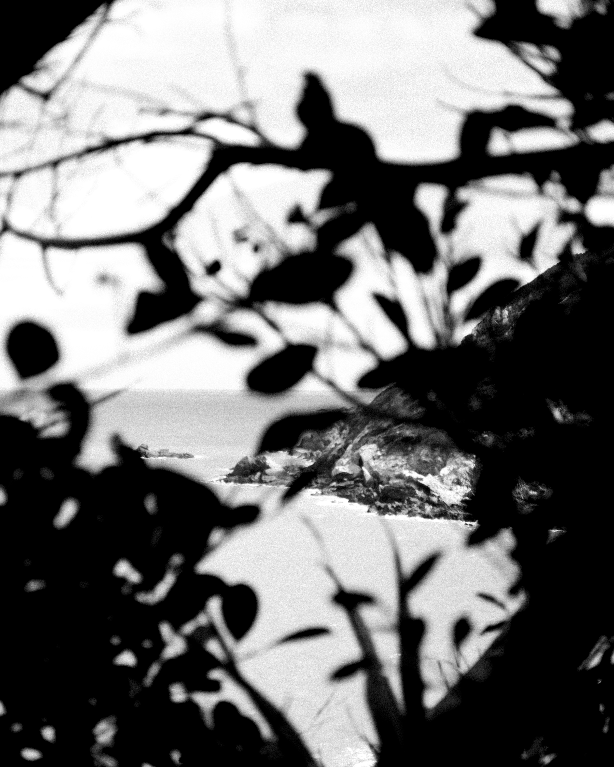 Call of the Void | Online Program, 4 Sessions starting March 5