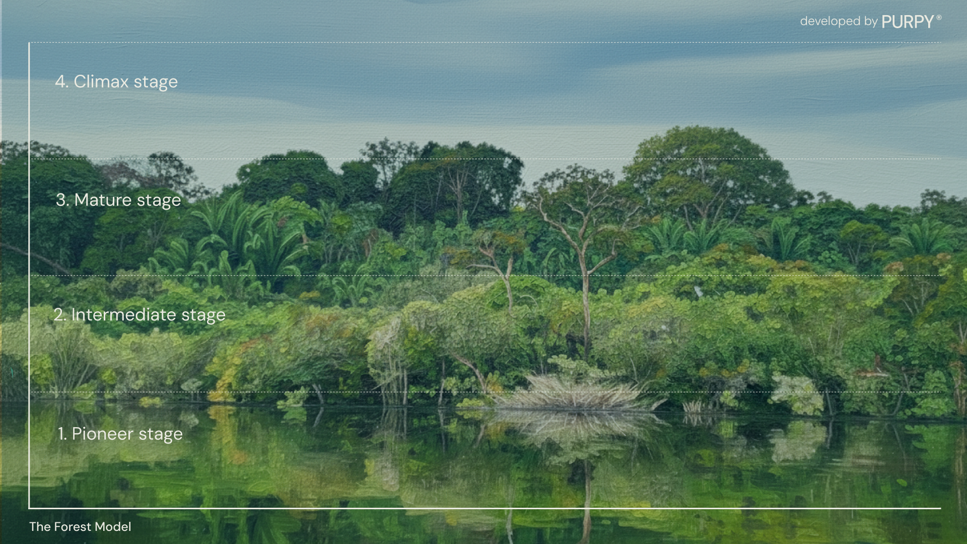 forestmodel4.png