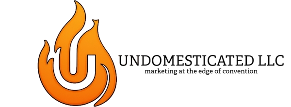 Undomesticated LLC: Disruptive Marketing at the Edge of Convention