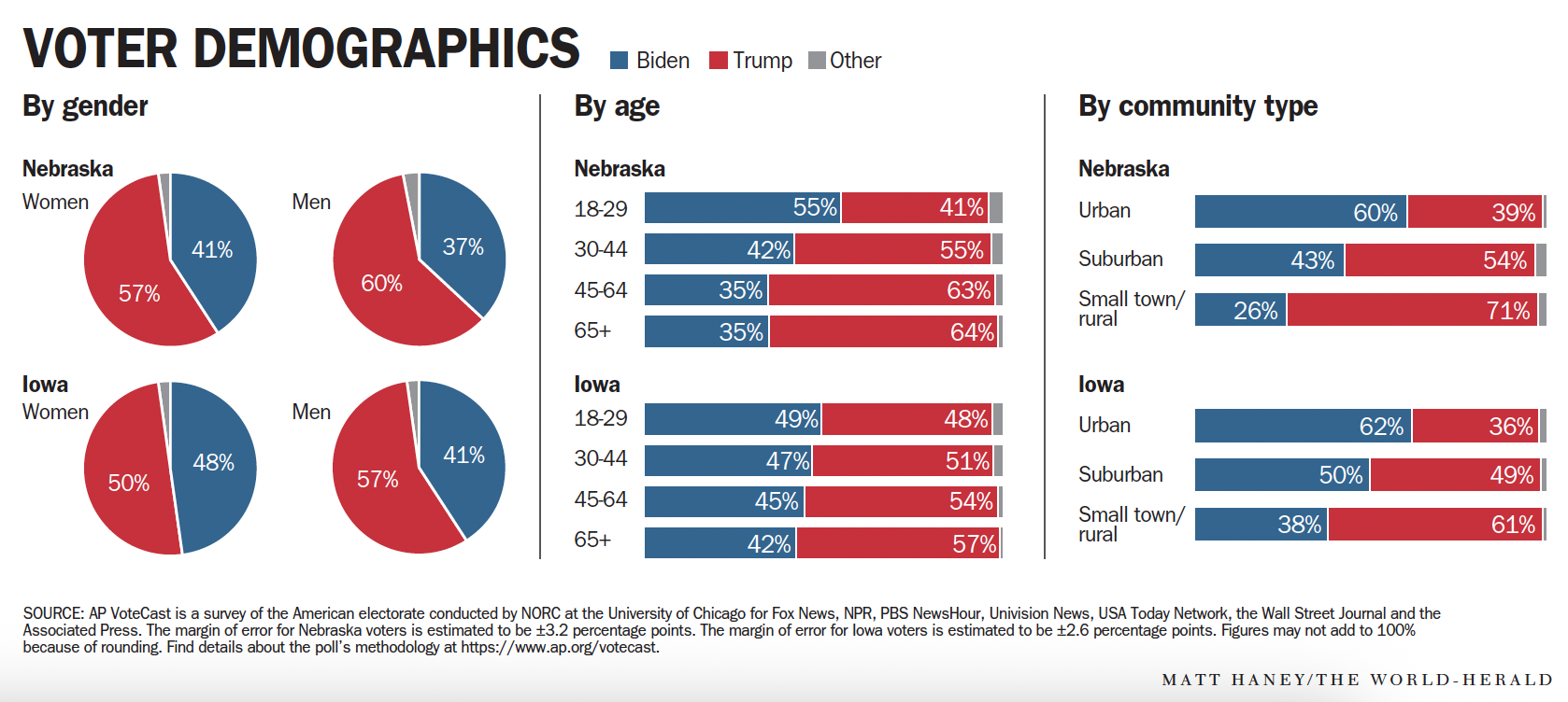 Voter demographics [Adobe illustrator]