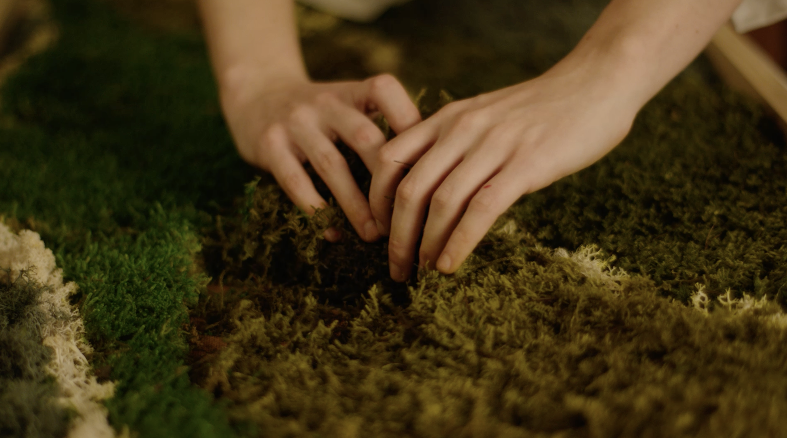 Screenshot 2026-04-07 at 11.24.42 PM.png