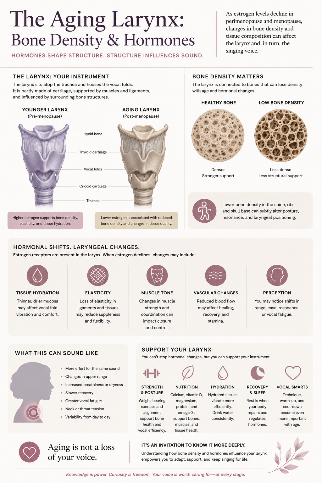 this is an infographic showing the impacts of hormones and aging on the larynx