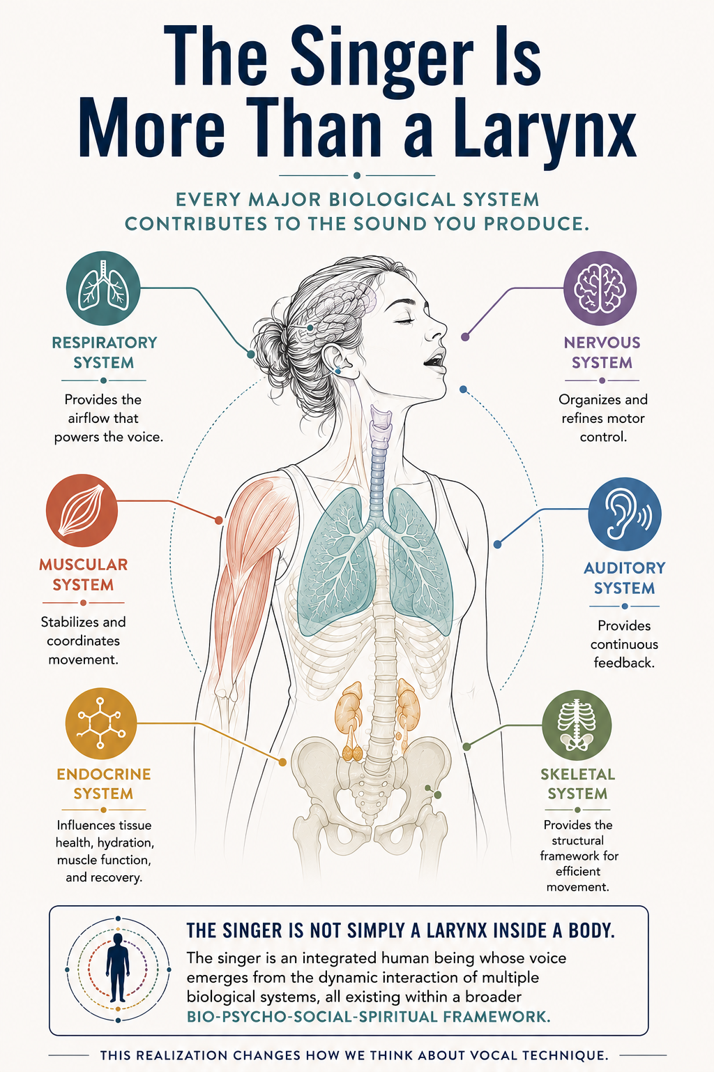 infographic showing how the different systems impact the voice