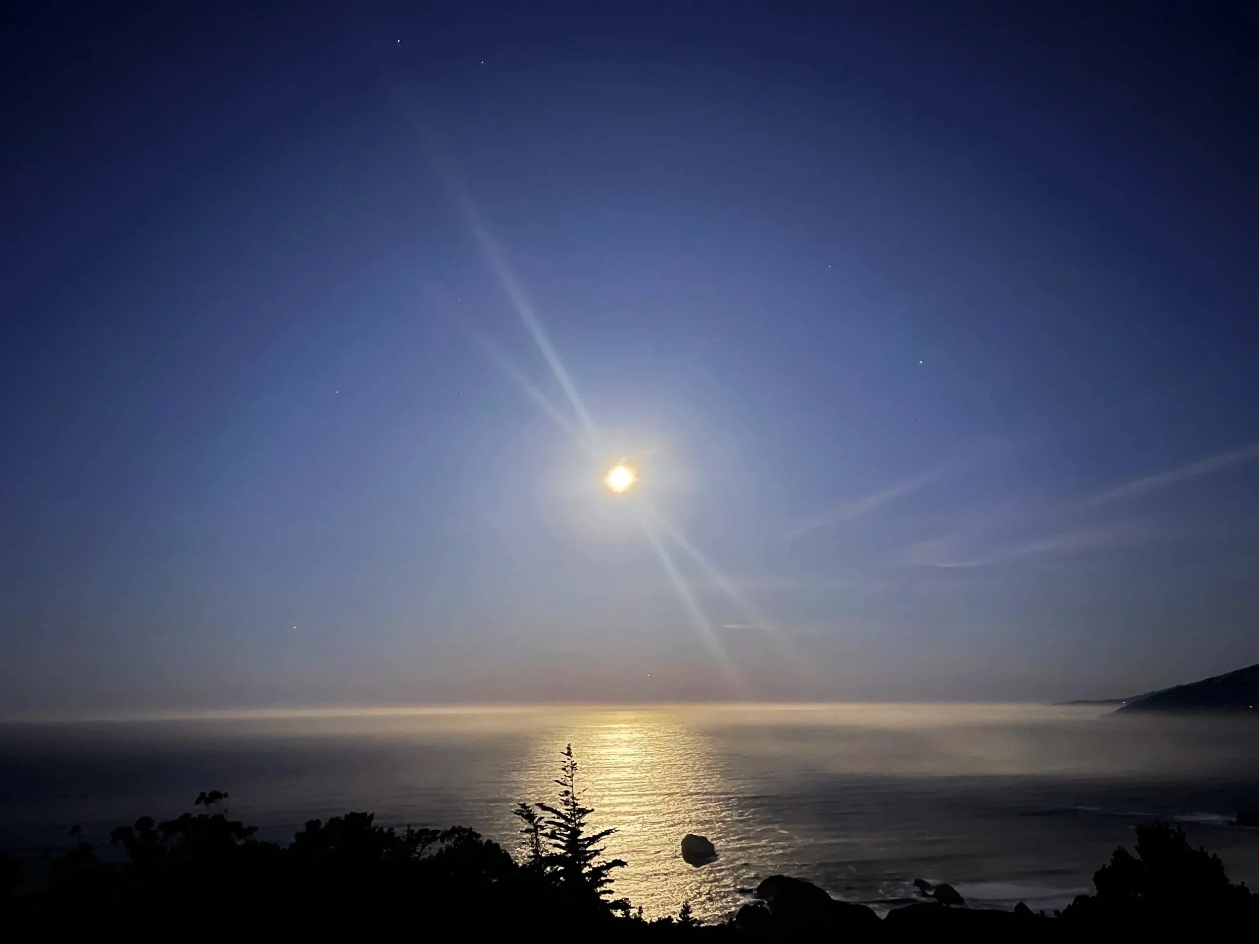 Nighttime view of the ocean with bright moon and reflections on water, silhouetted trees and rocks in foreground, and faint hills on the horizon.