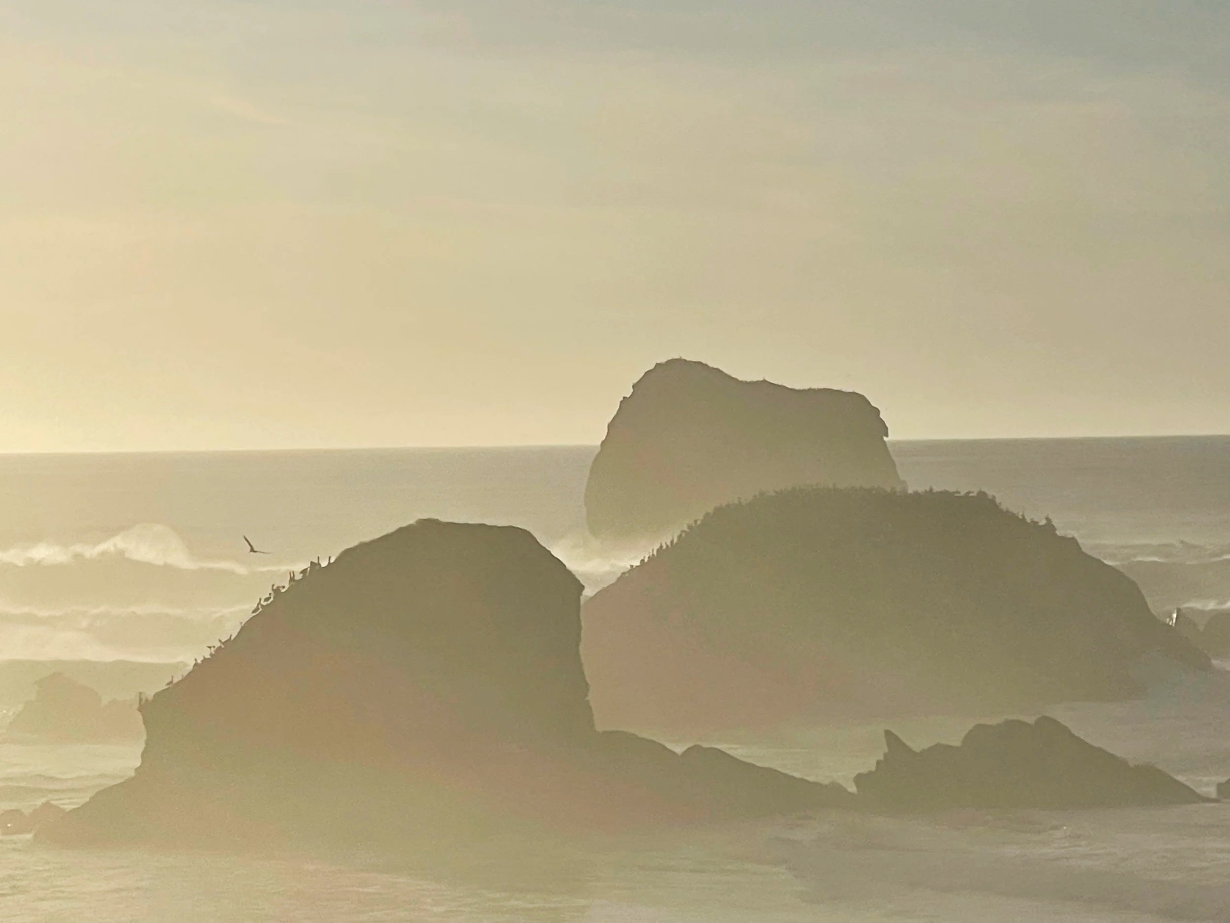 Beach scene with large rocks in the water, a bird flying, and a hazy sky.