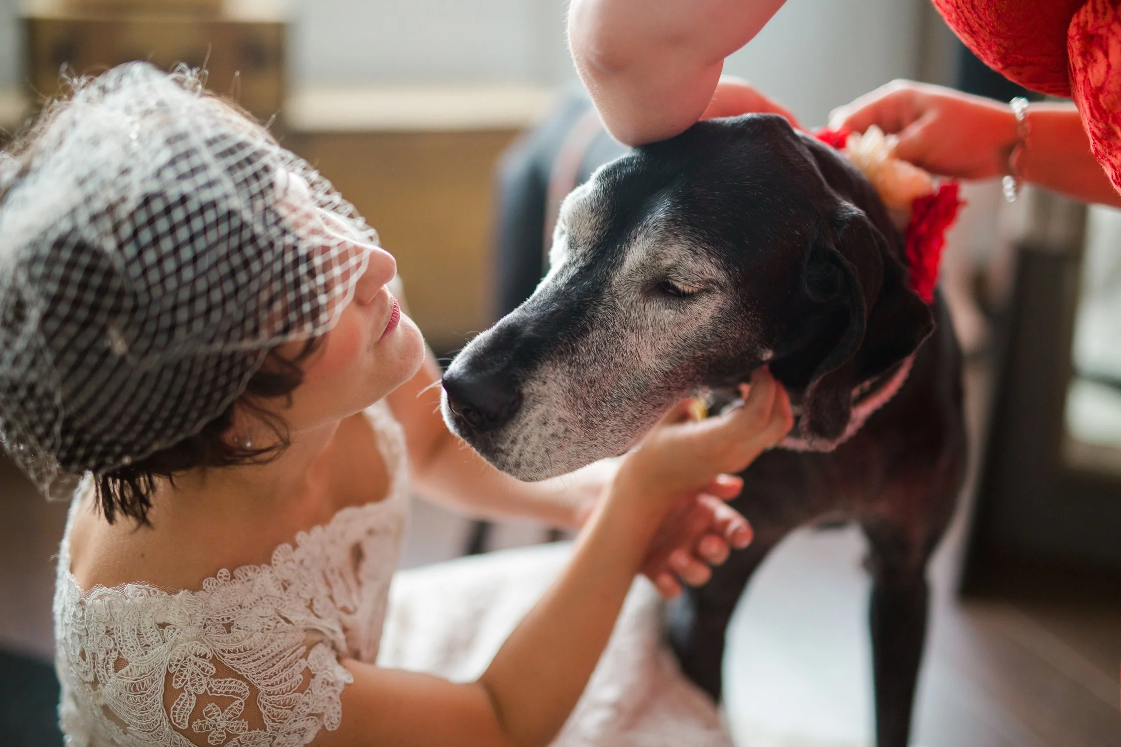 2016 corrie and darren dog.jpg